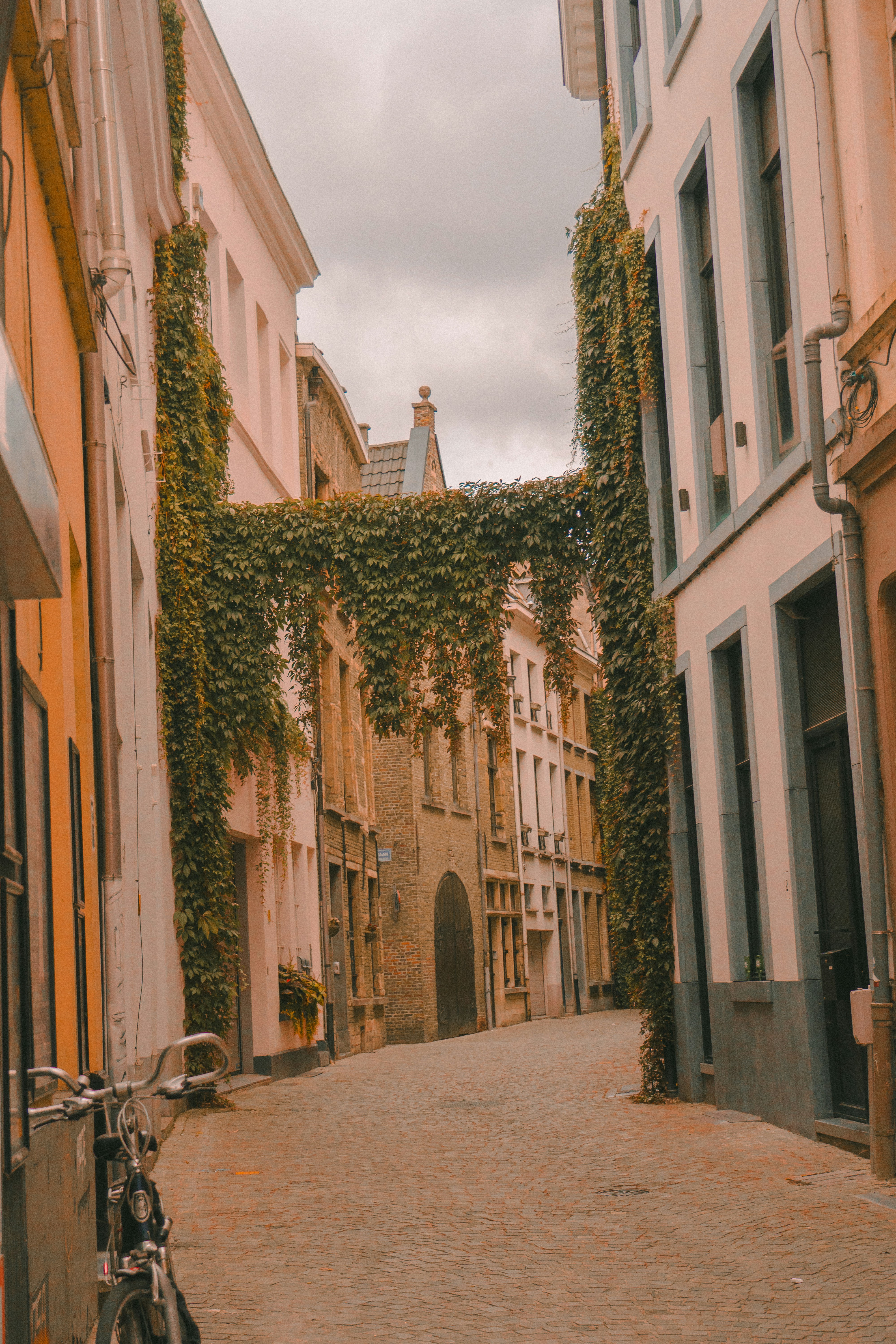 Photo by pixel_guy97