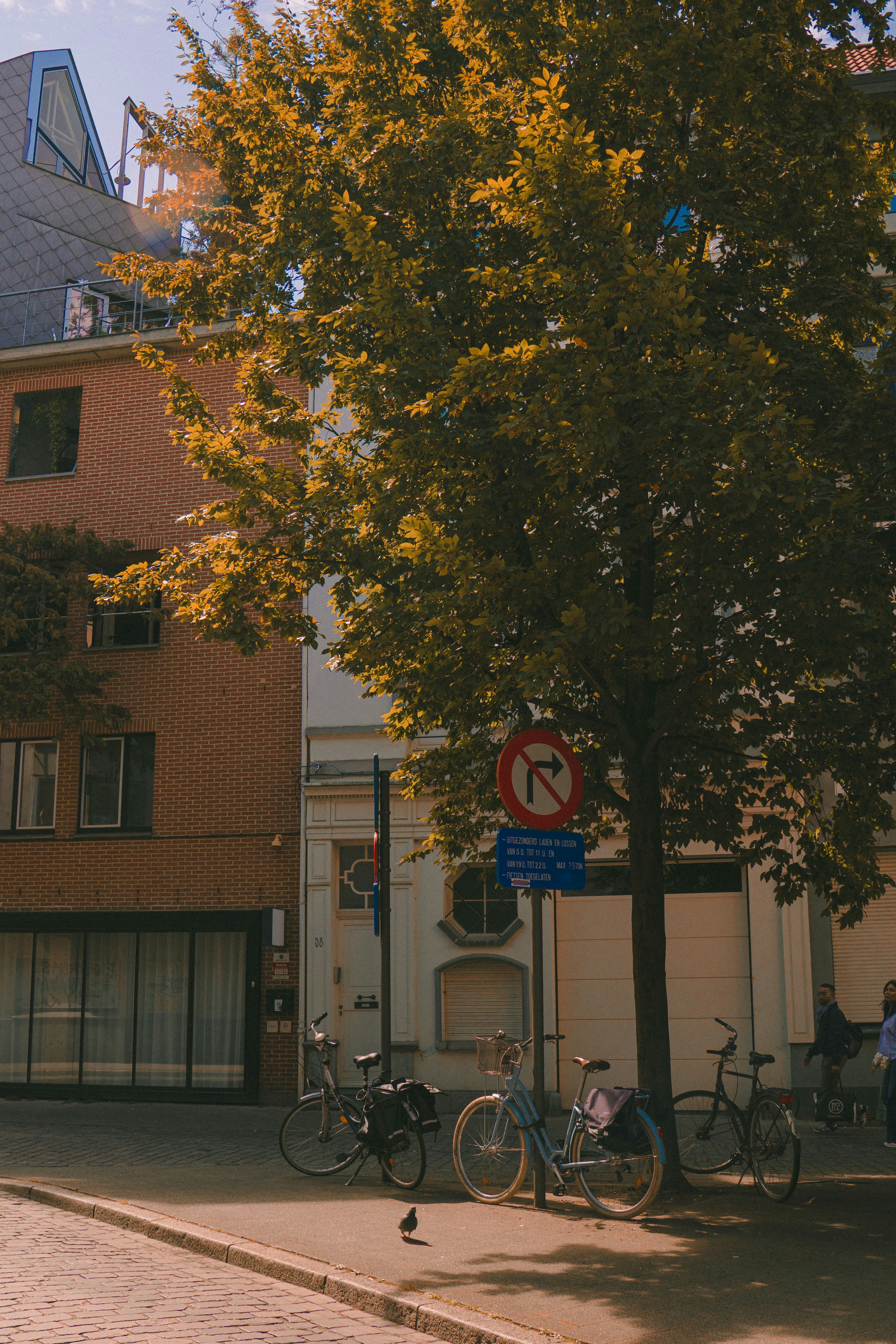 Photo by pixel_guy97