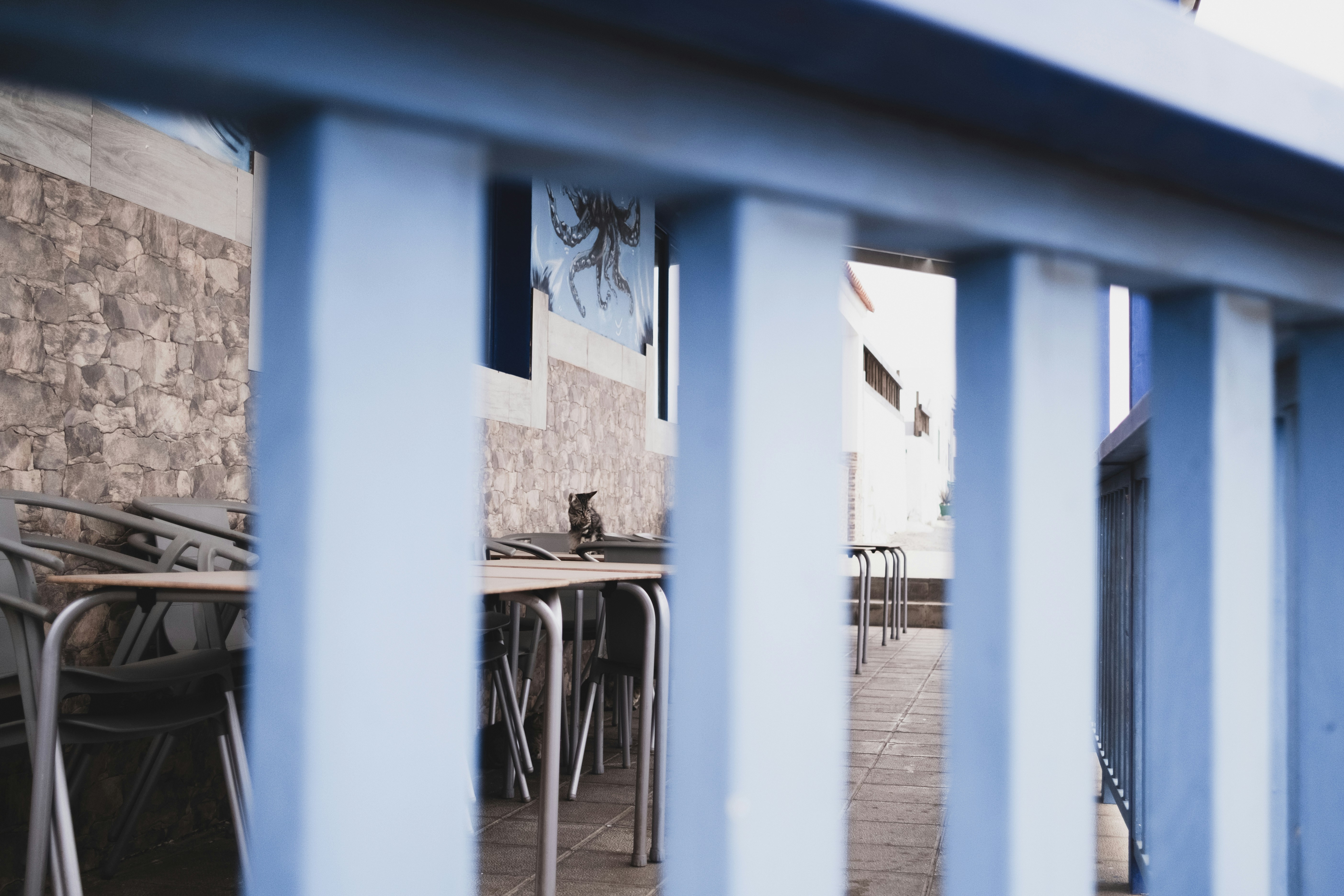 Photo by anastasiatr