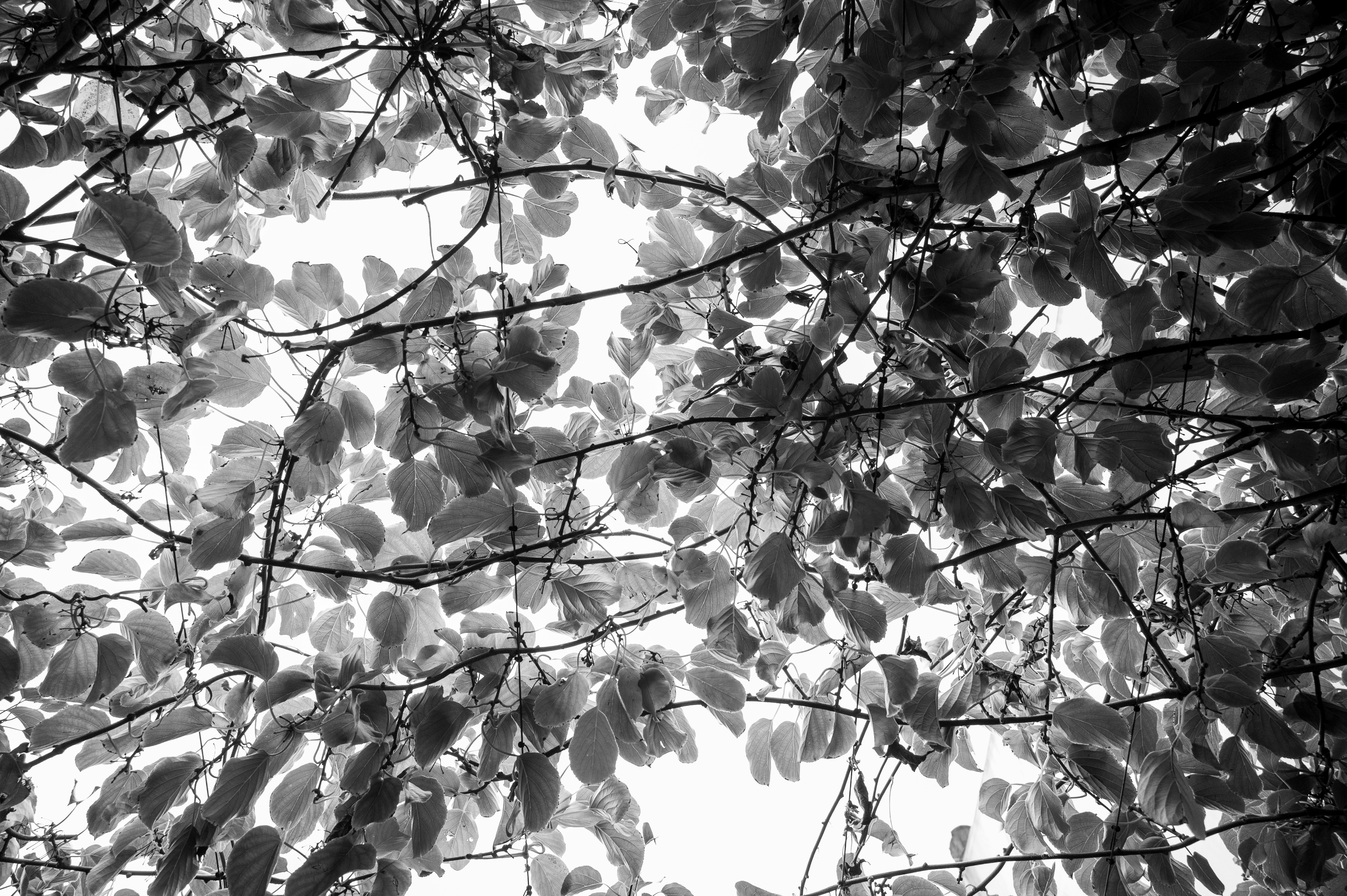 Photo by toby_hall28