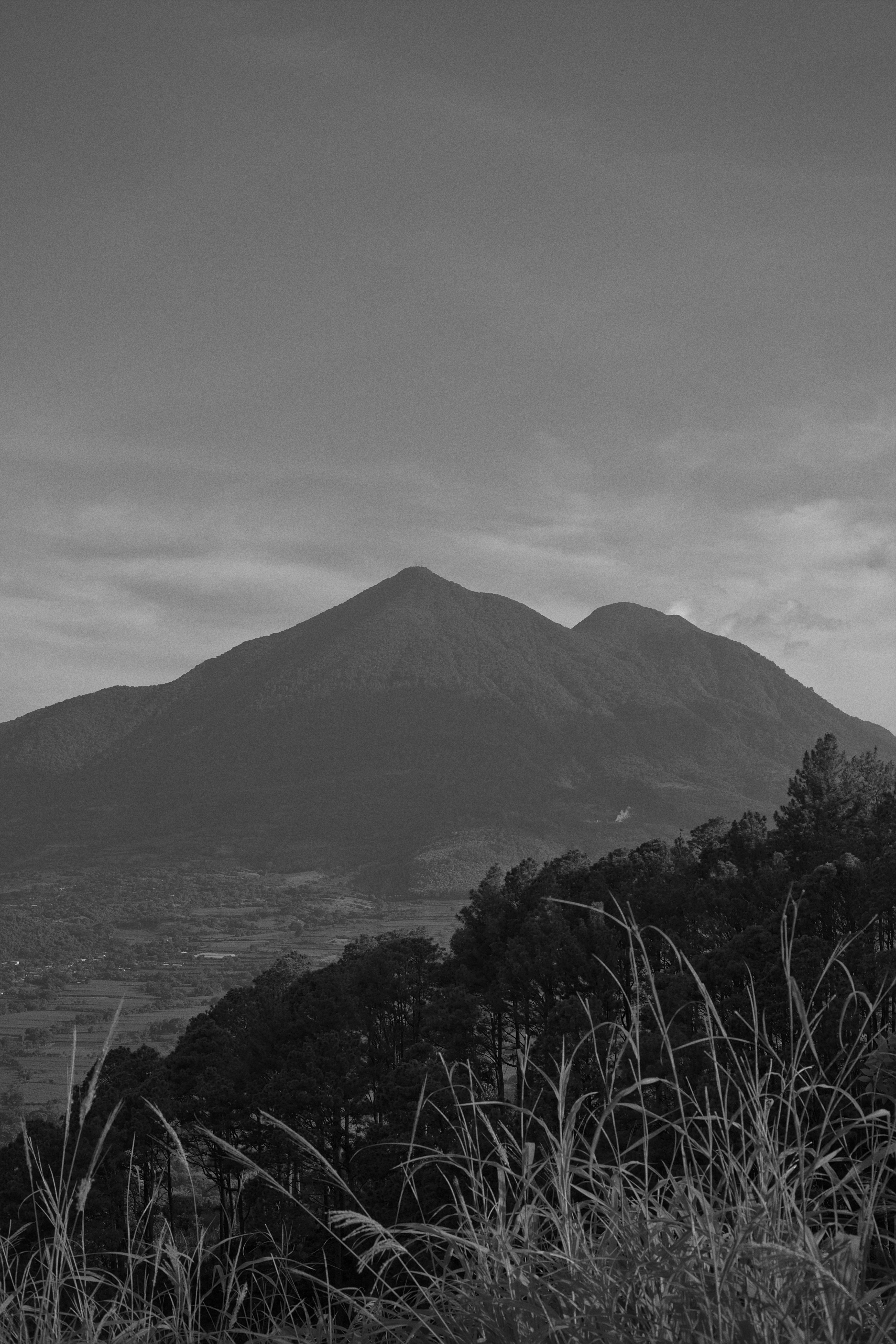 Photo by luiss1
