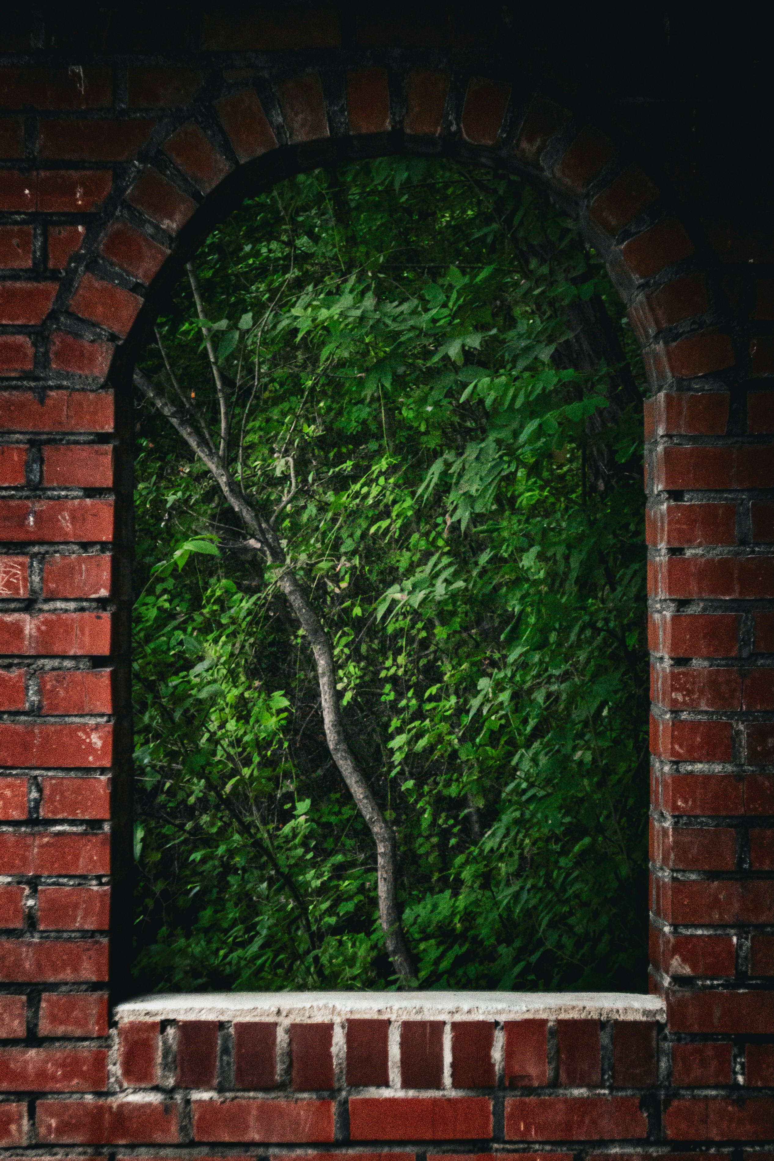 Photo by ttokttak_noir