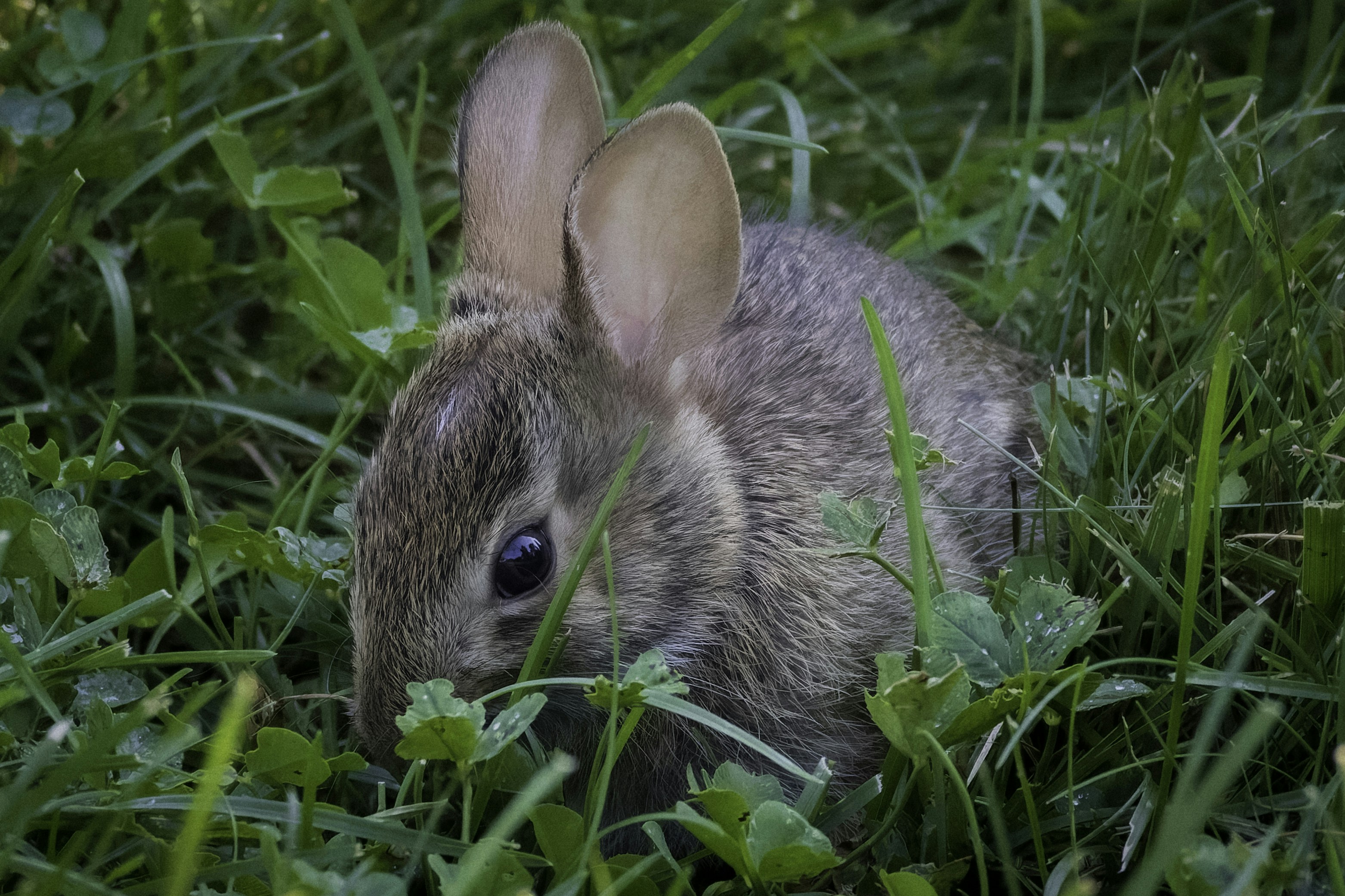 Photo by peterbbryan