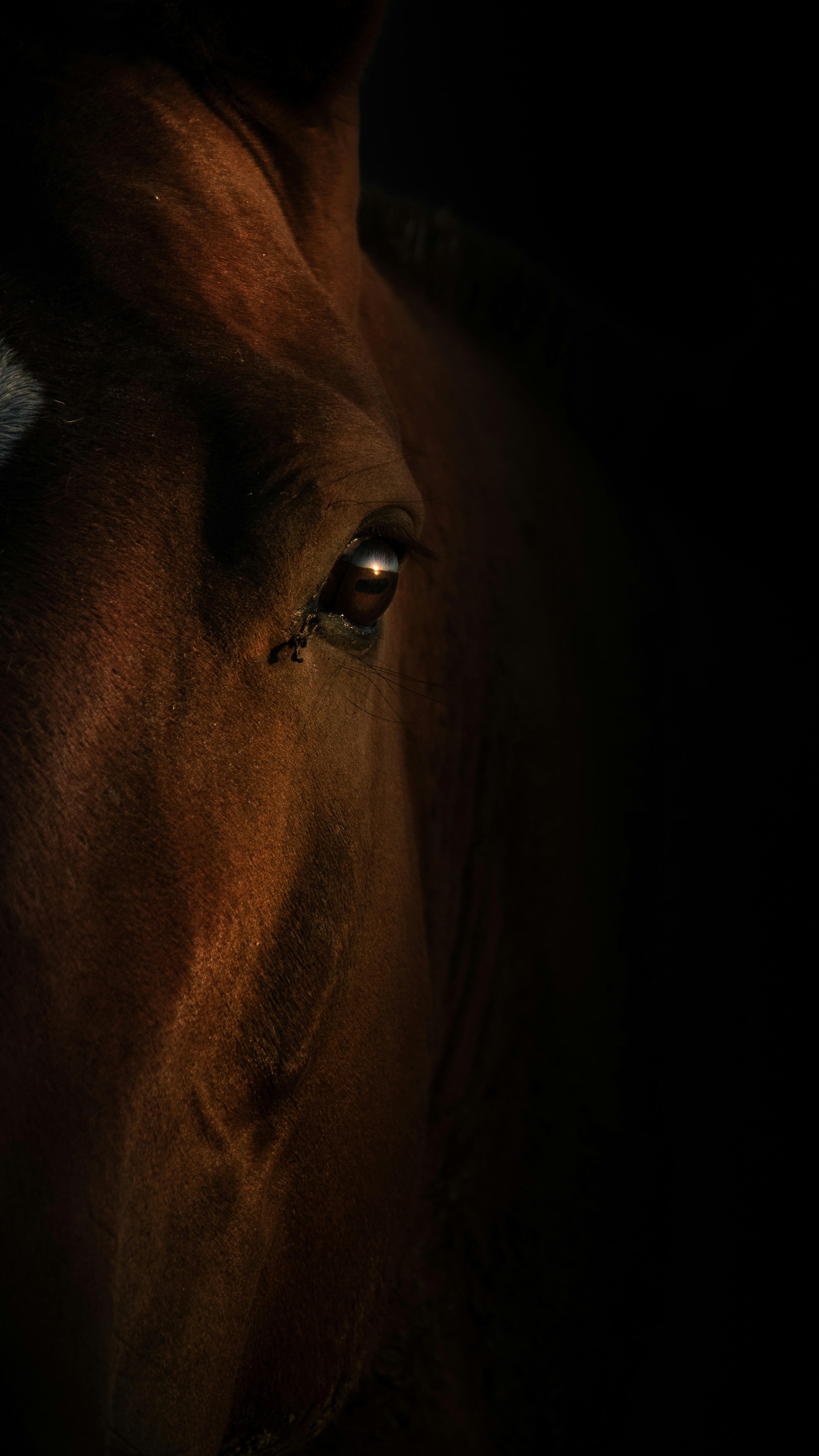 Photo by caco_cremonte