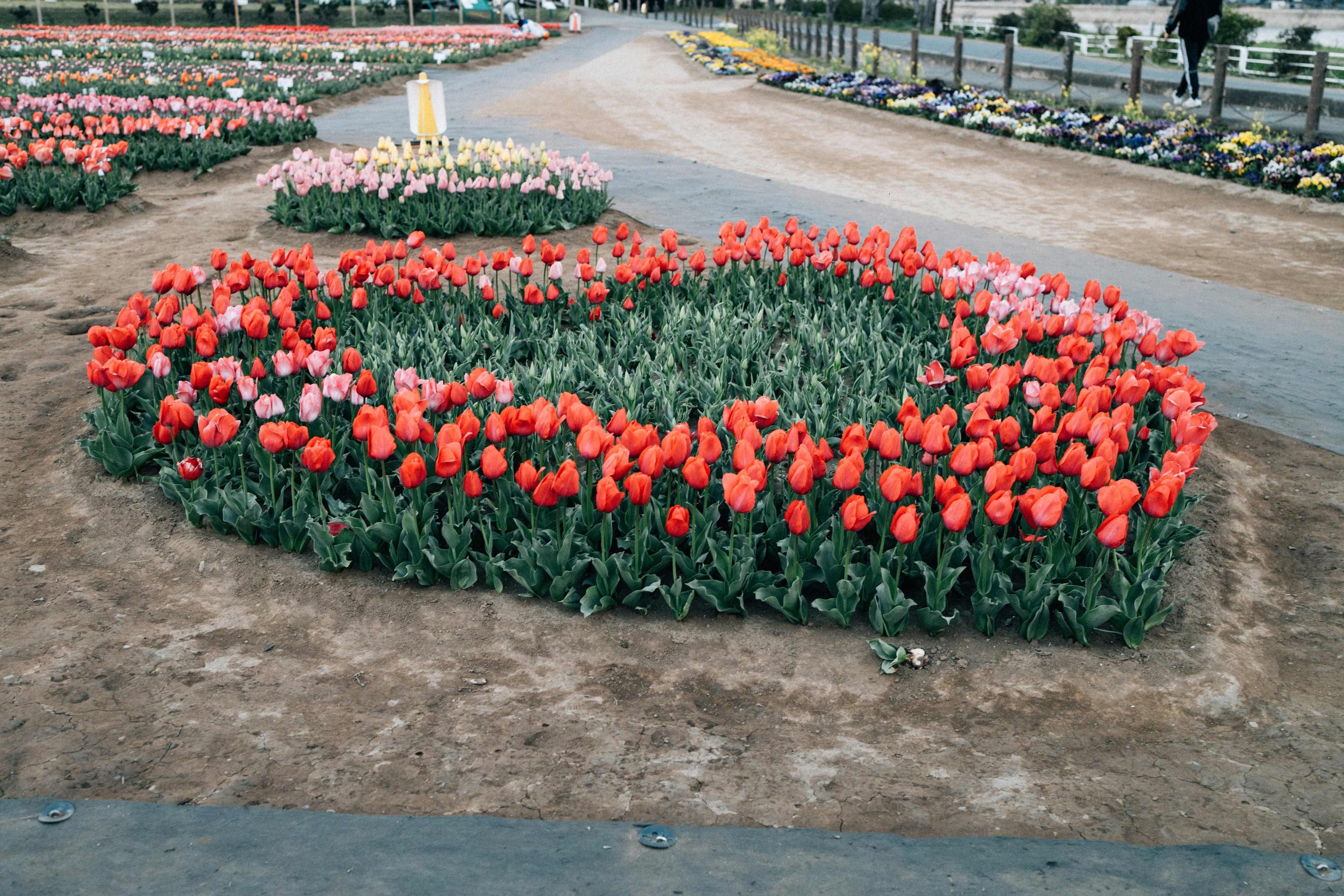 International Flowers and Baloonland