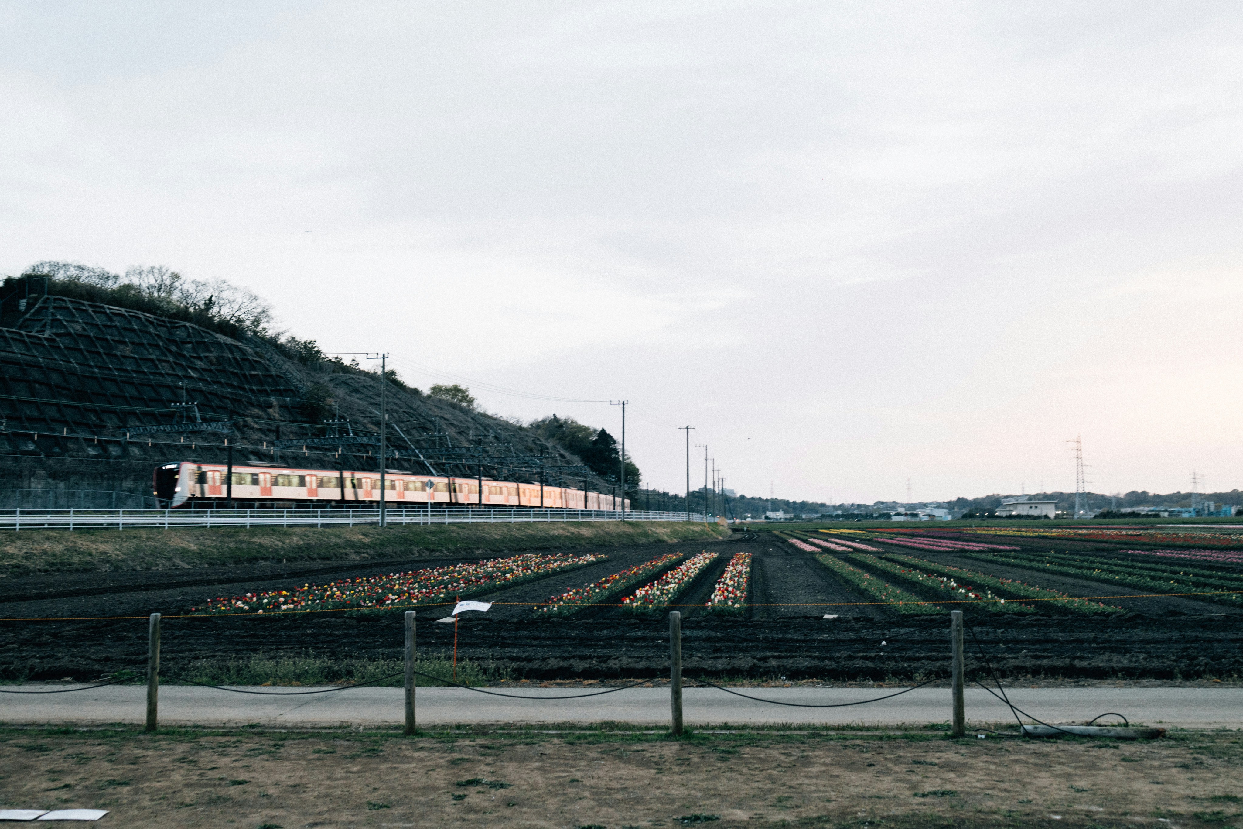 Train in field under cloudy sky