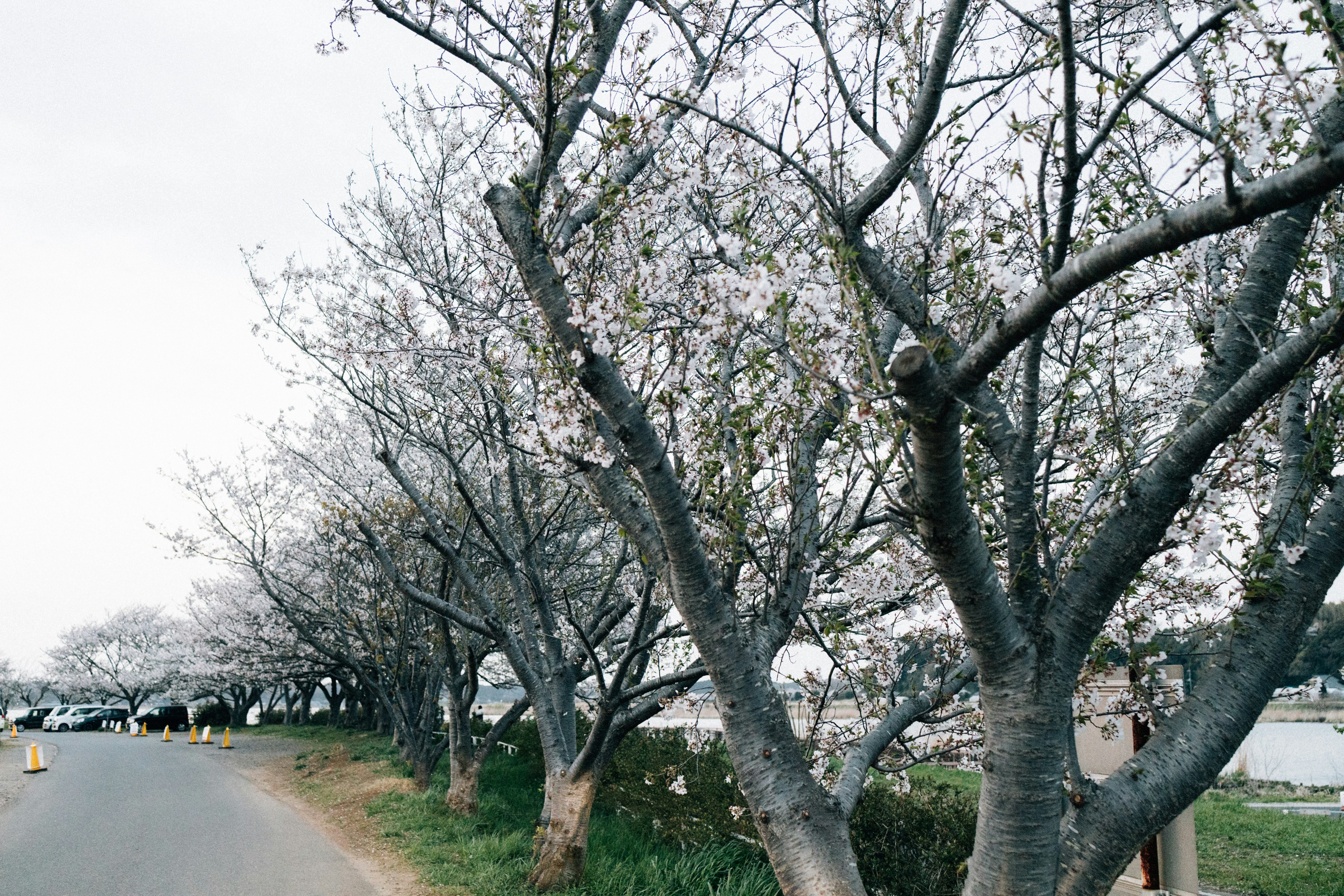 Photo by tsuyoshikozu