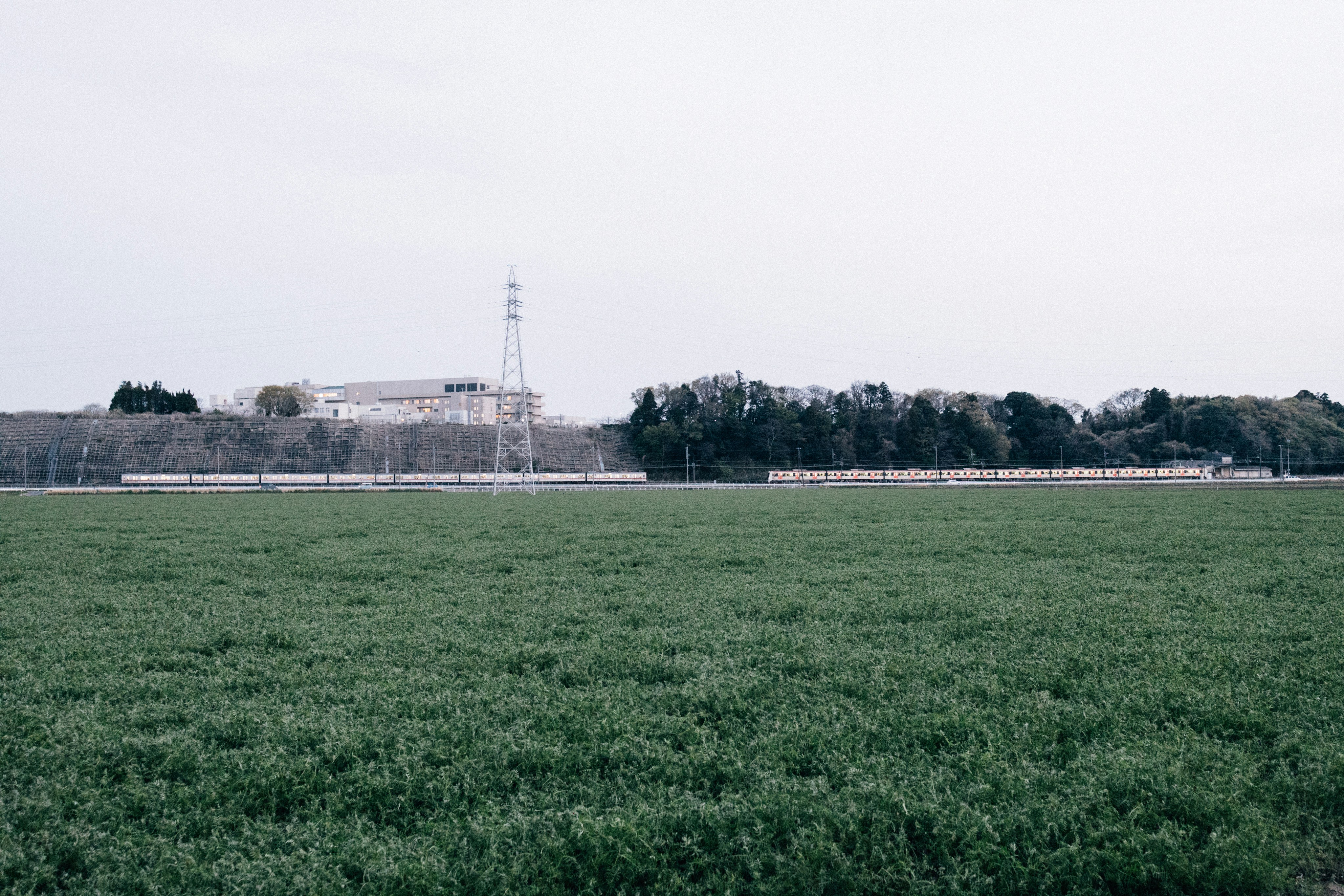 Photo by tsuyoshikozu