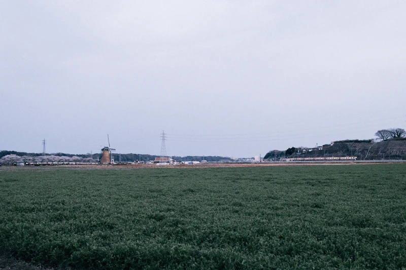 鴨川・大山千枚田〜外房