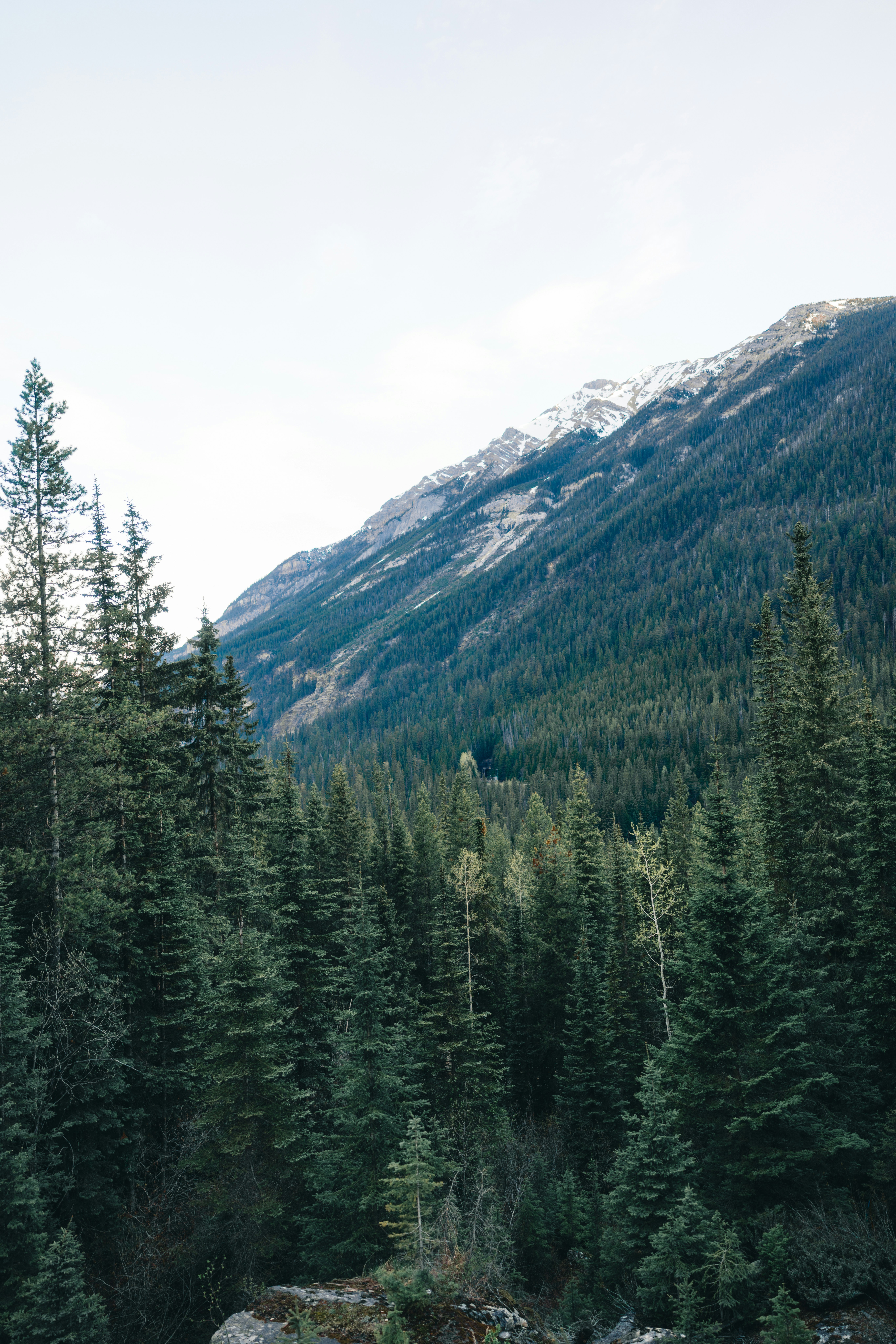 Photo by lureofadventure