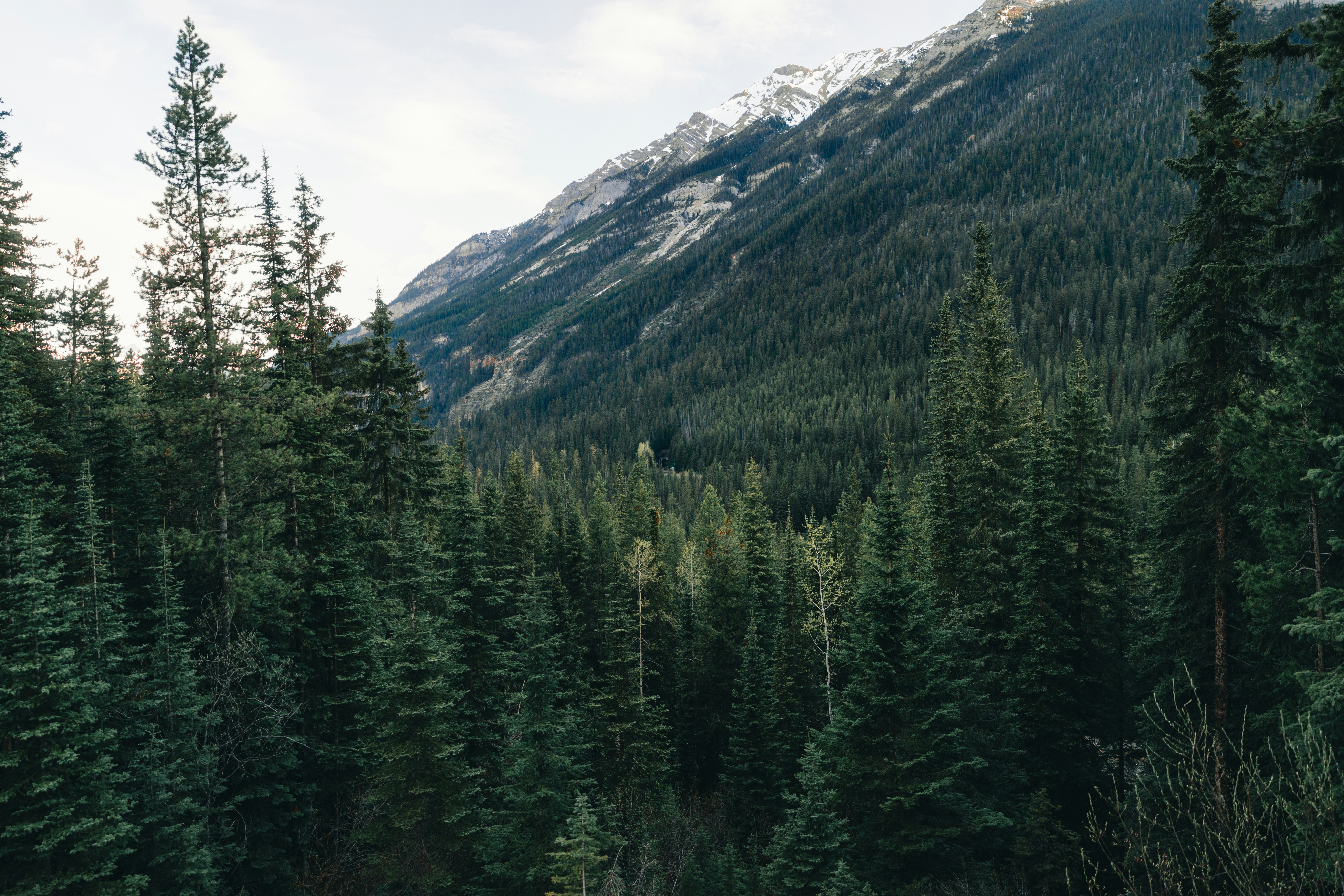 Photo by lureofadventure