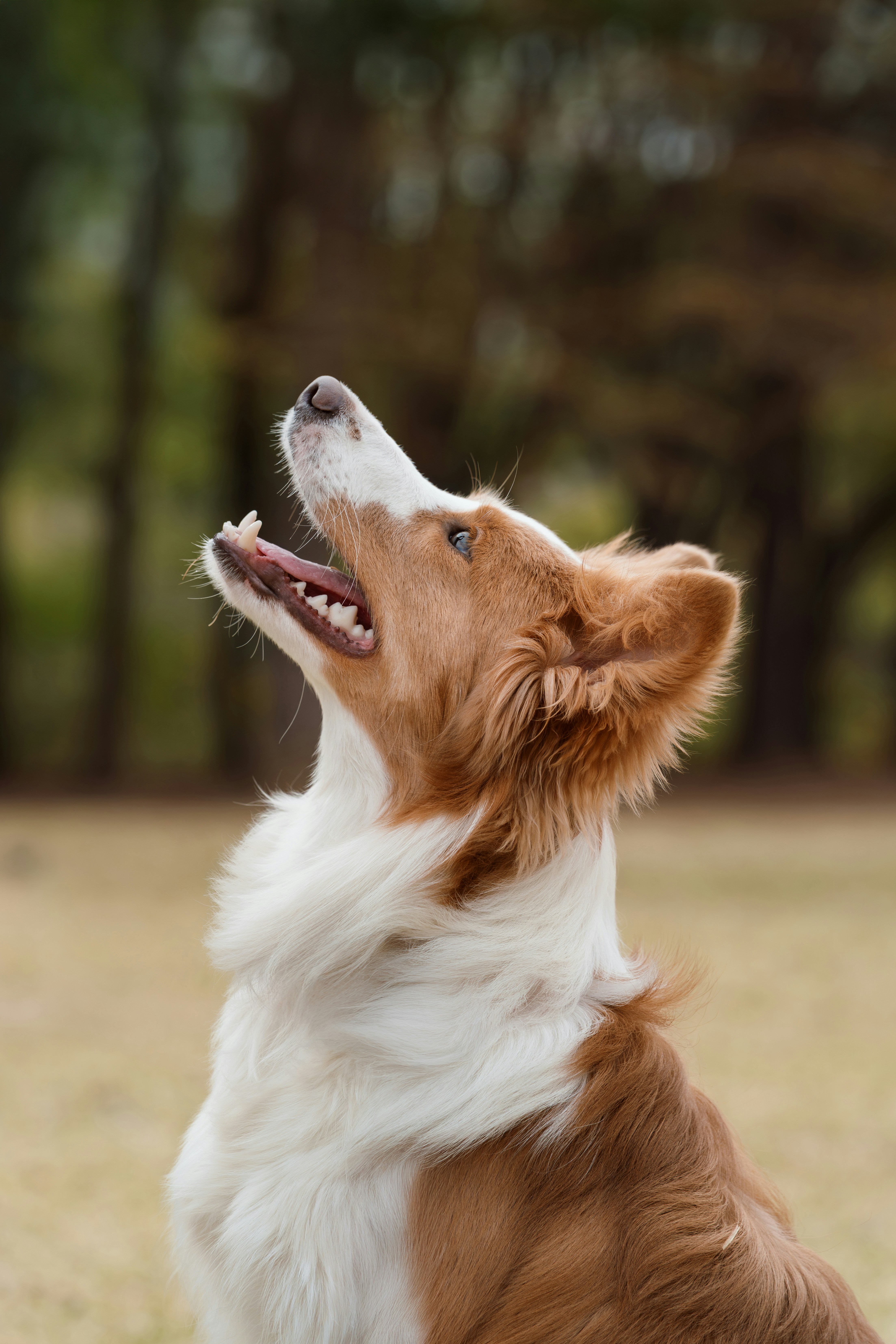 Photo by jellybear_studio