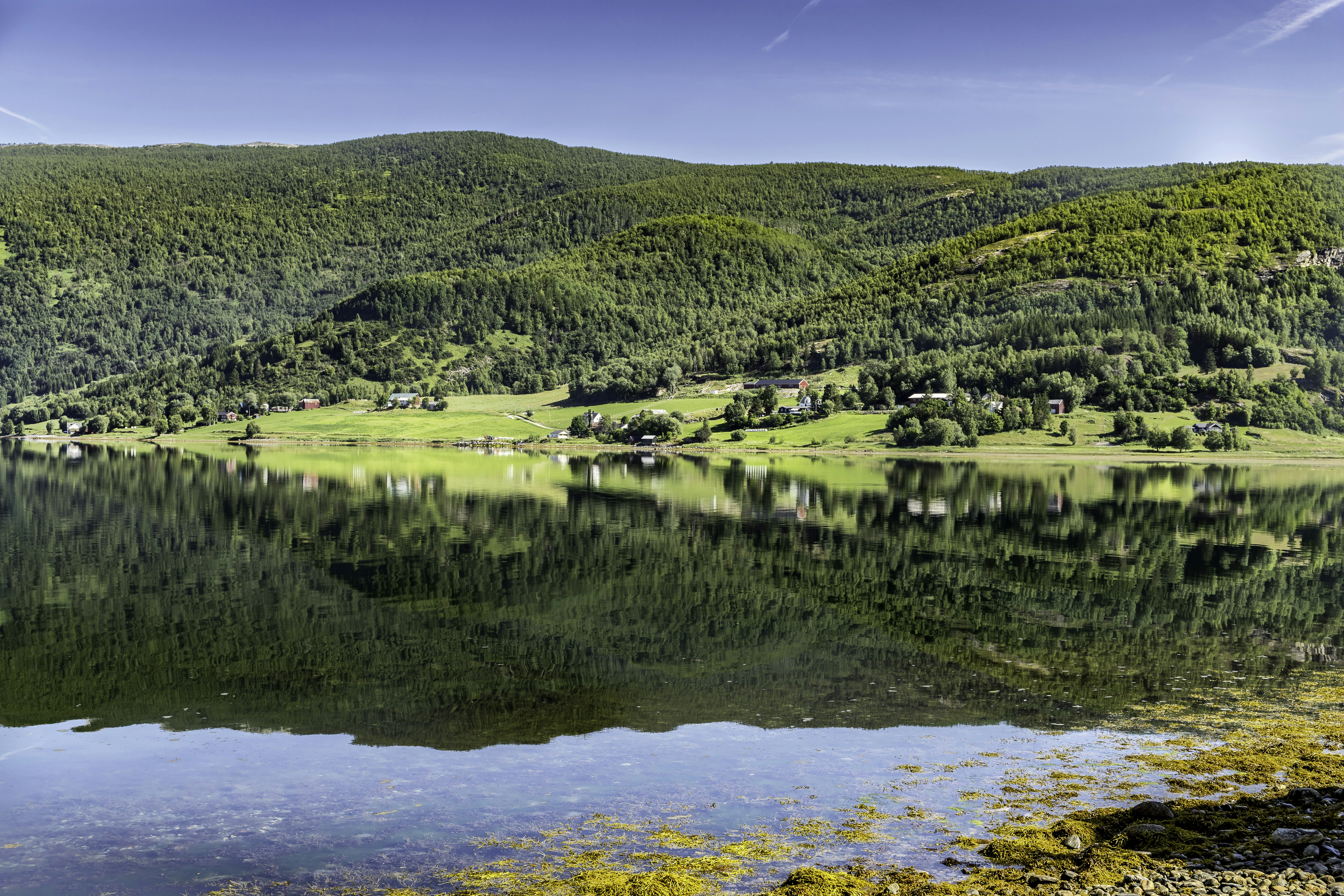 Photo by visionaryconcepts