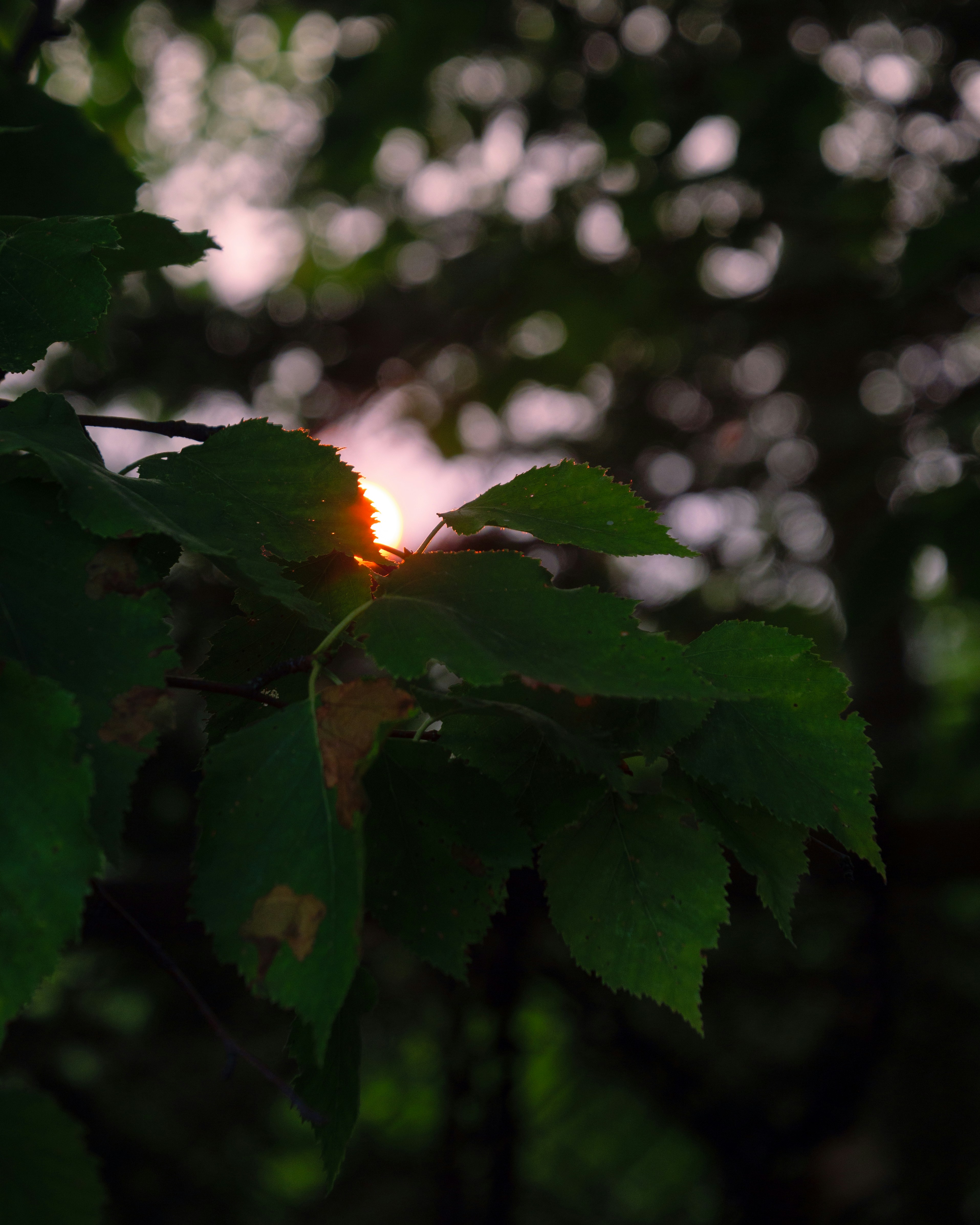 Photo by storybyphil