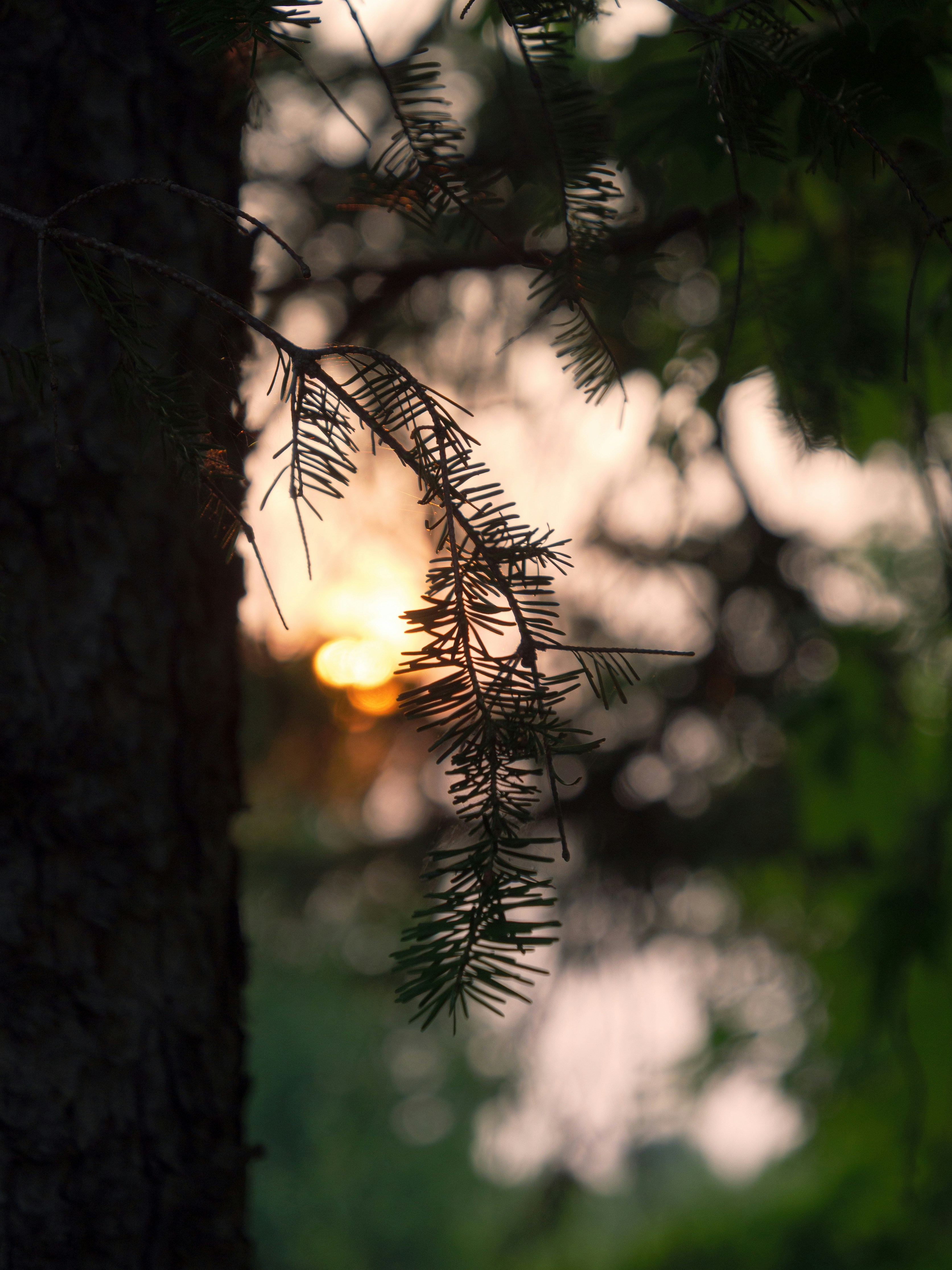 Photo by storybyphil