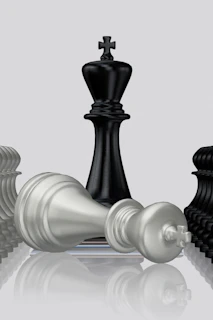 Black king stands victorious over the white king.
