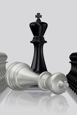 Black king stands victorious over the white king.