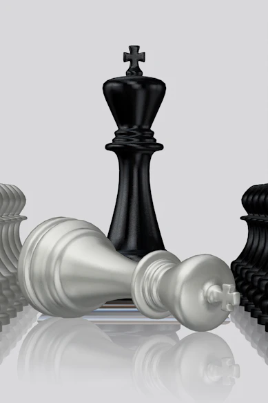 Black king stands victorious over the white king.