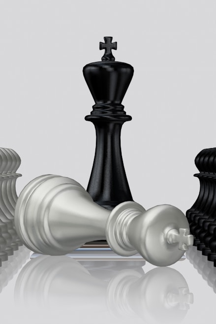 Black king stands victorious over the white king.