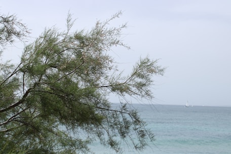 Sumergite en la naturaleza