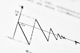 A graph depicts decaying oscillations over time.