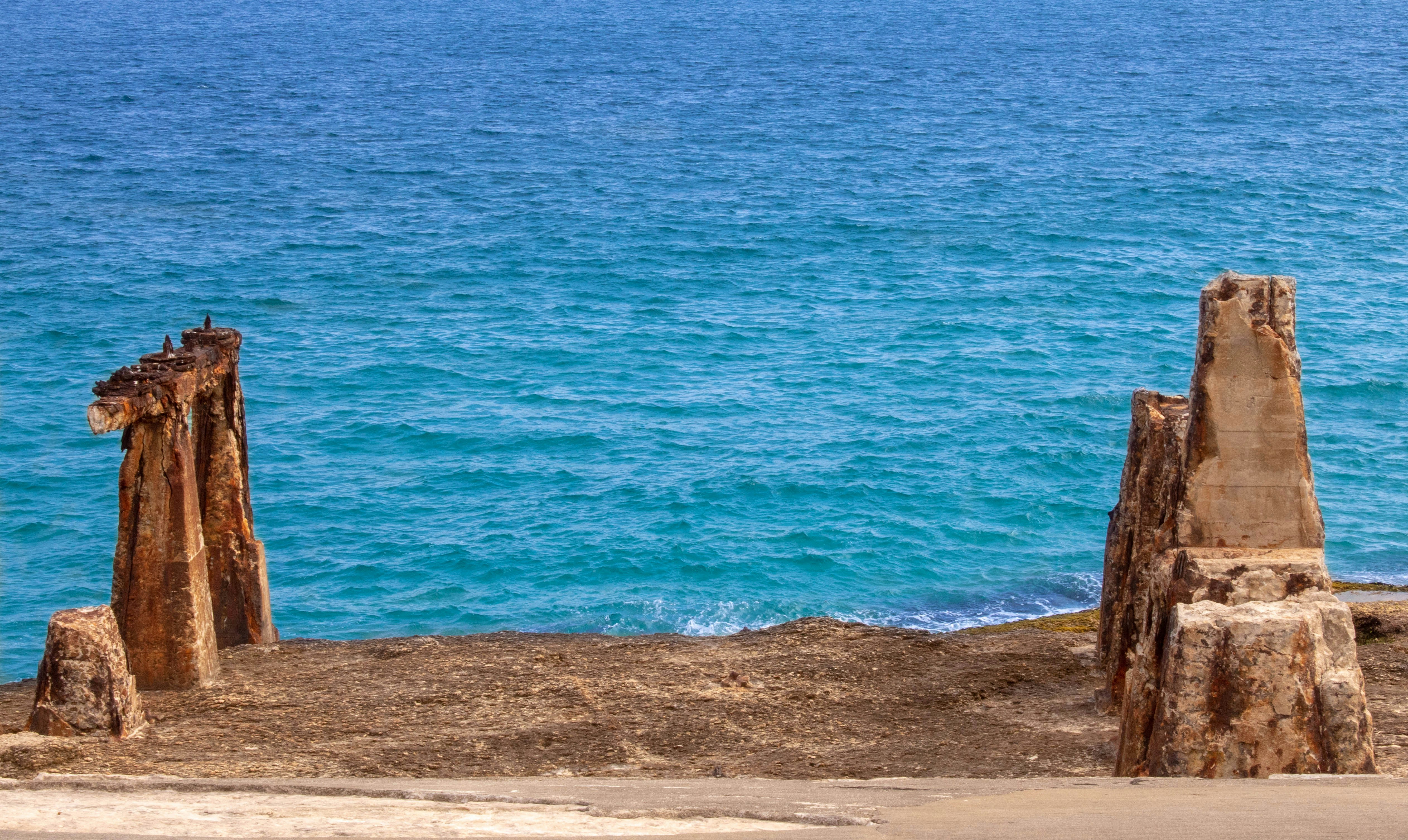 Photo by fernando_faria