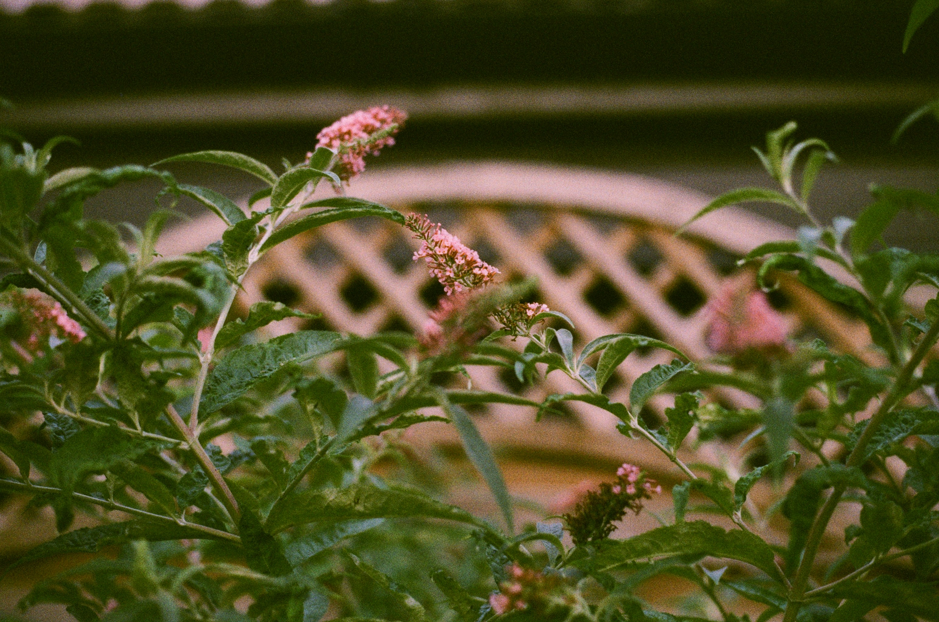 Photo by tanyabarrow