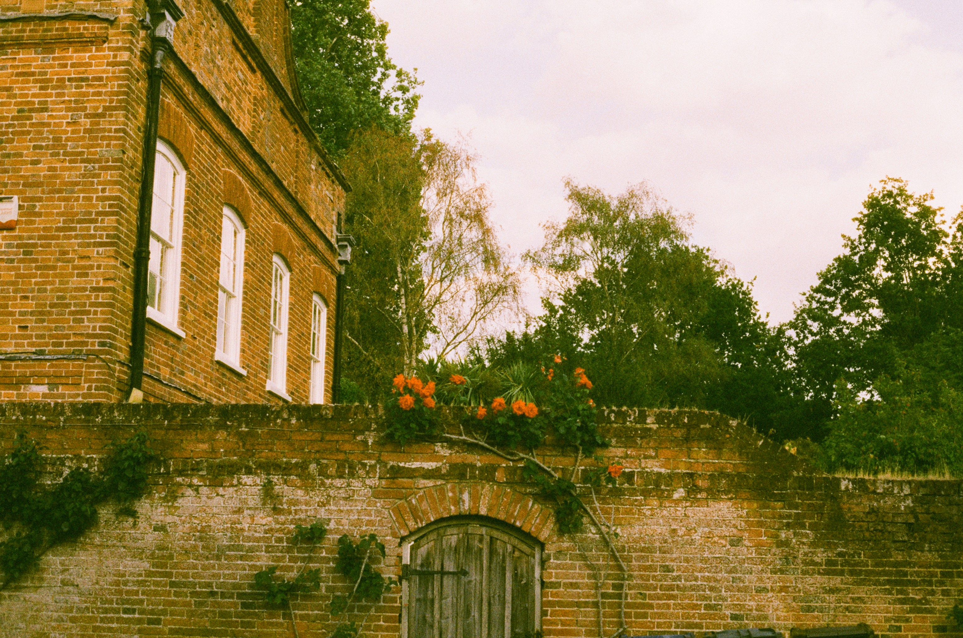 Photo by tanyabarrow