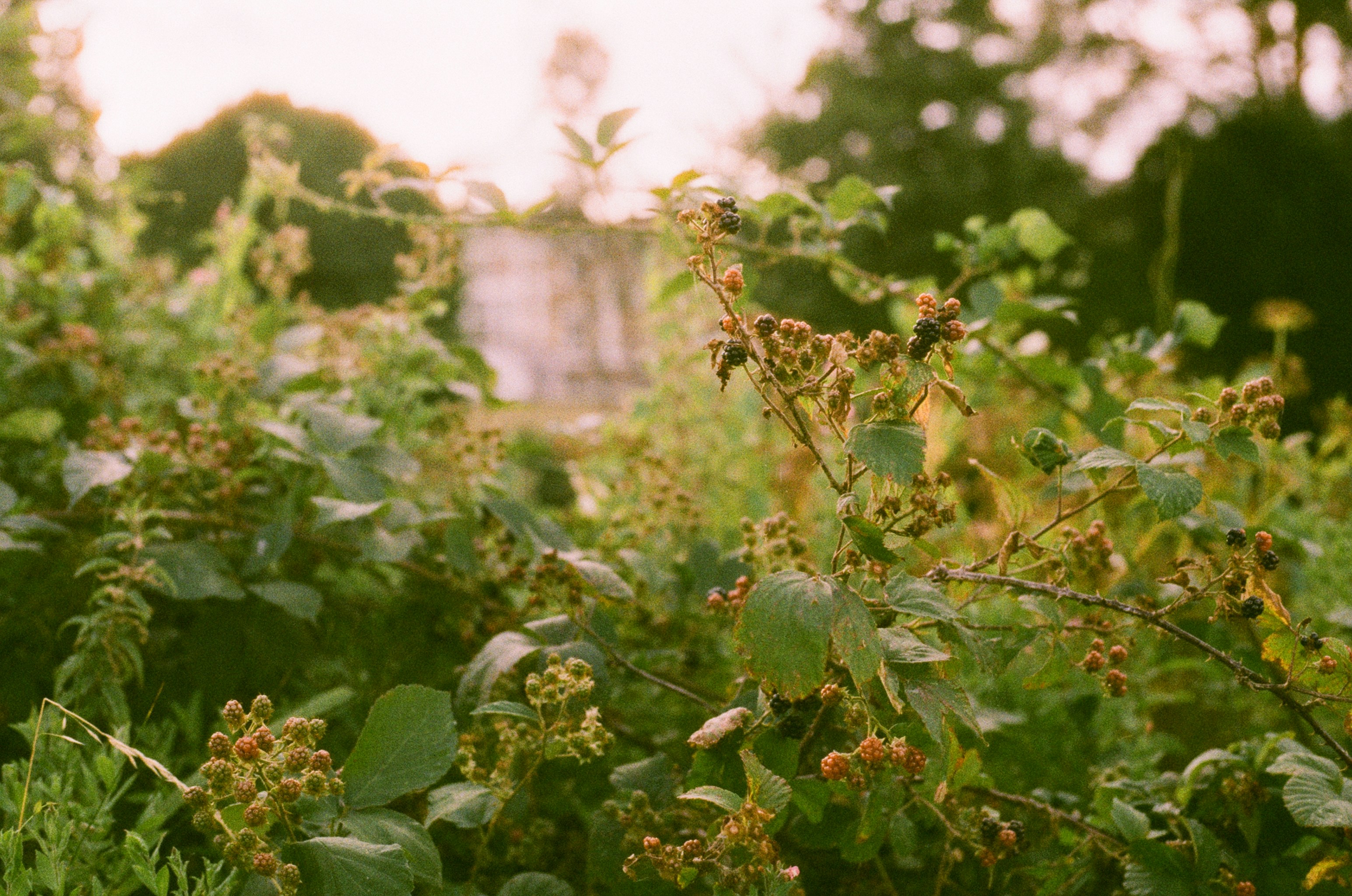 Photo by tanyabarrow