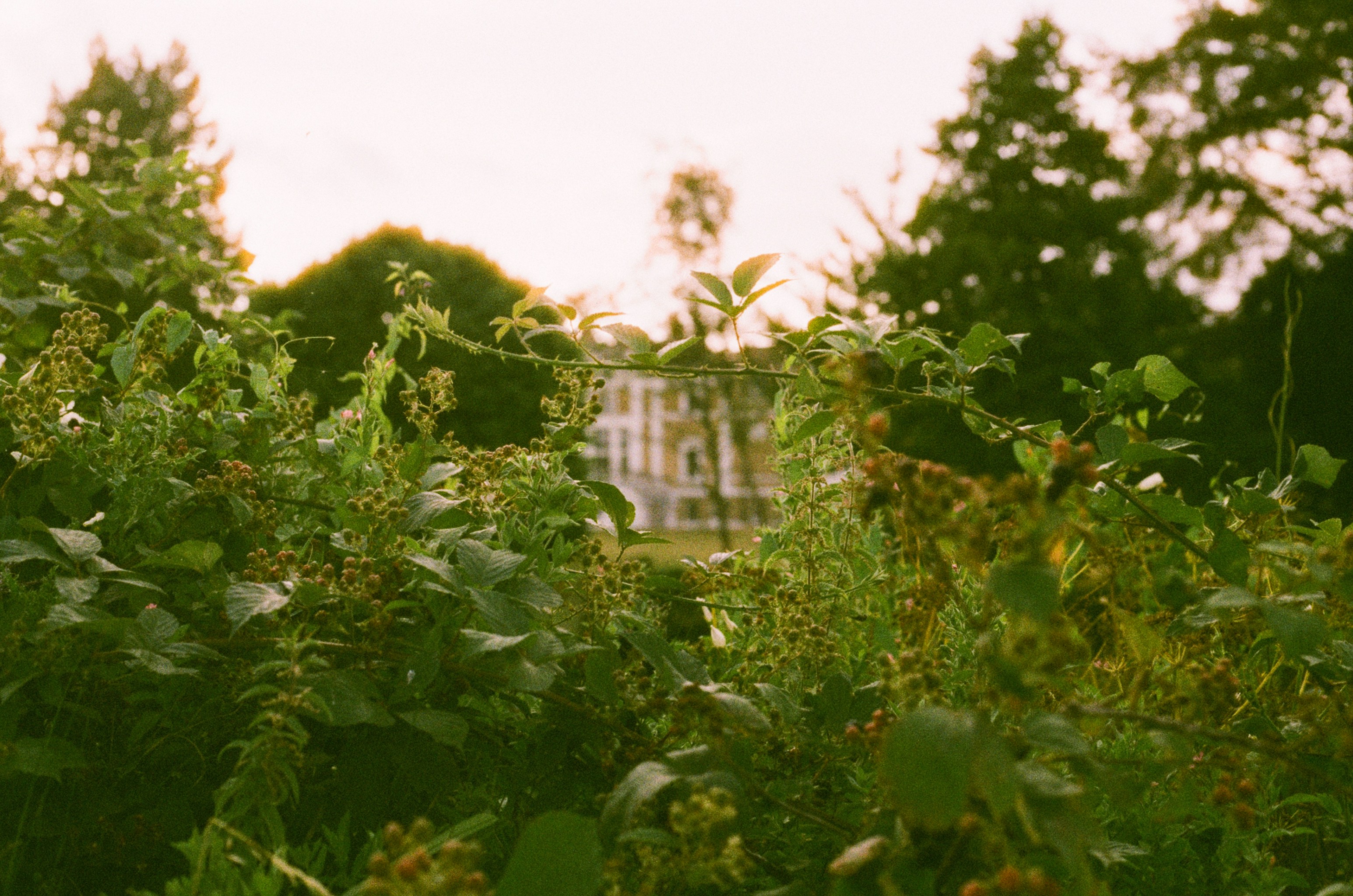 Photo by tanyabarrow