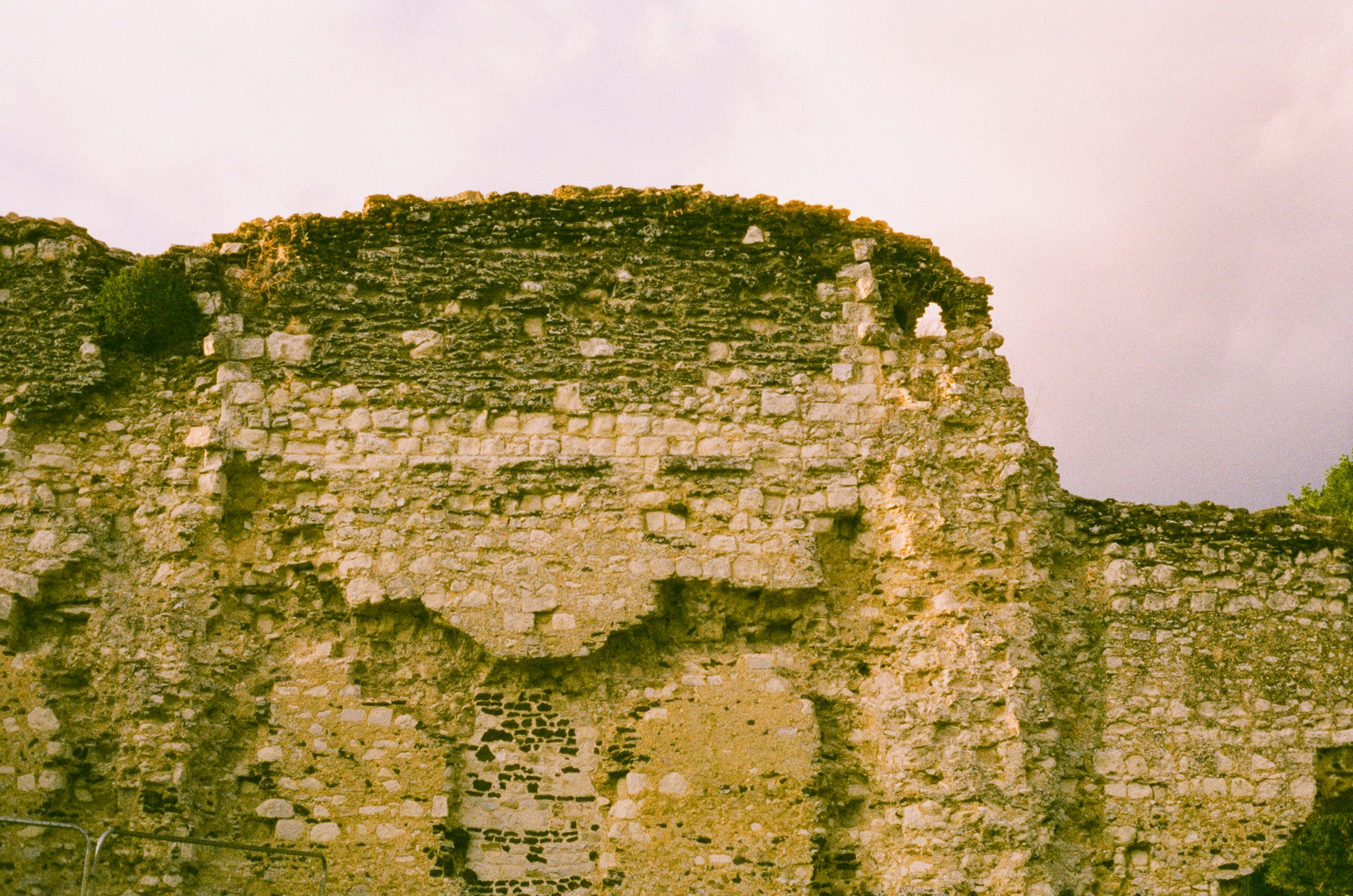 Photo by tanyabarrow