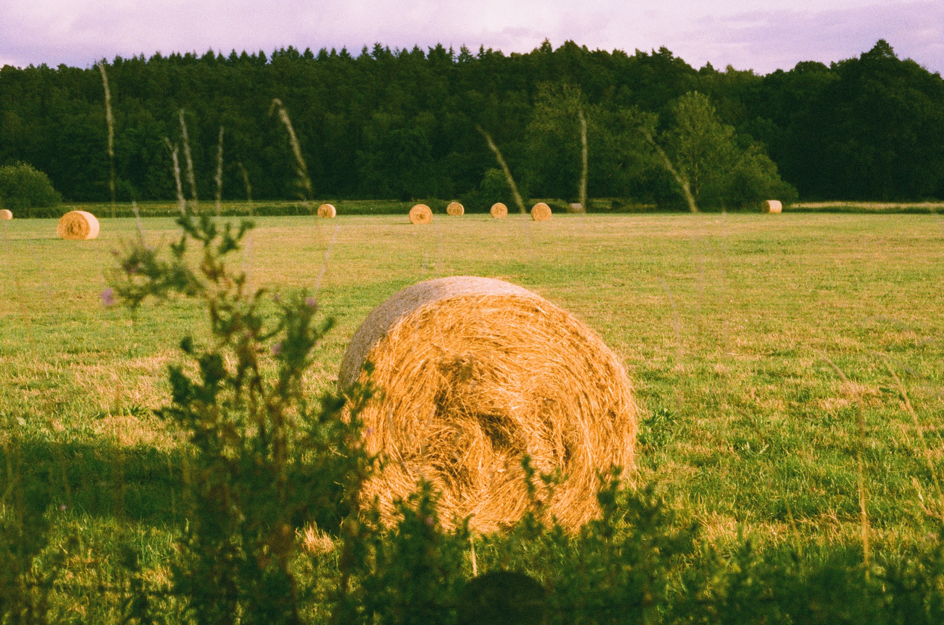 Photo by tanyabarrow