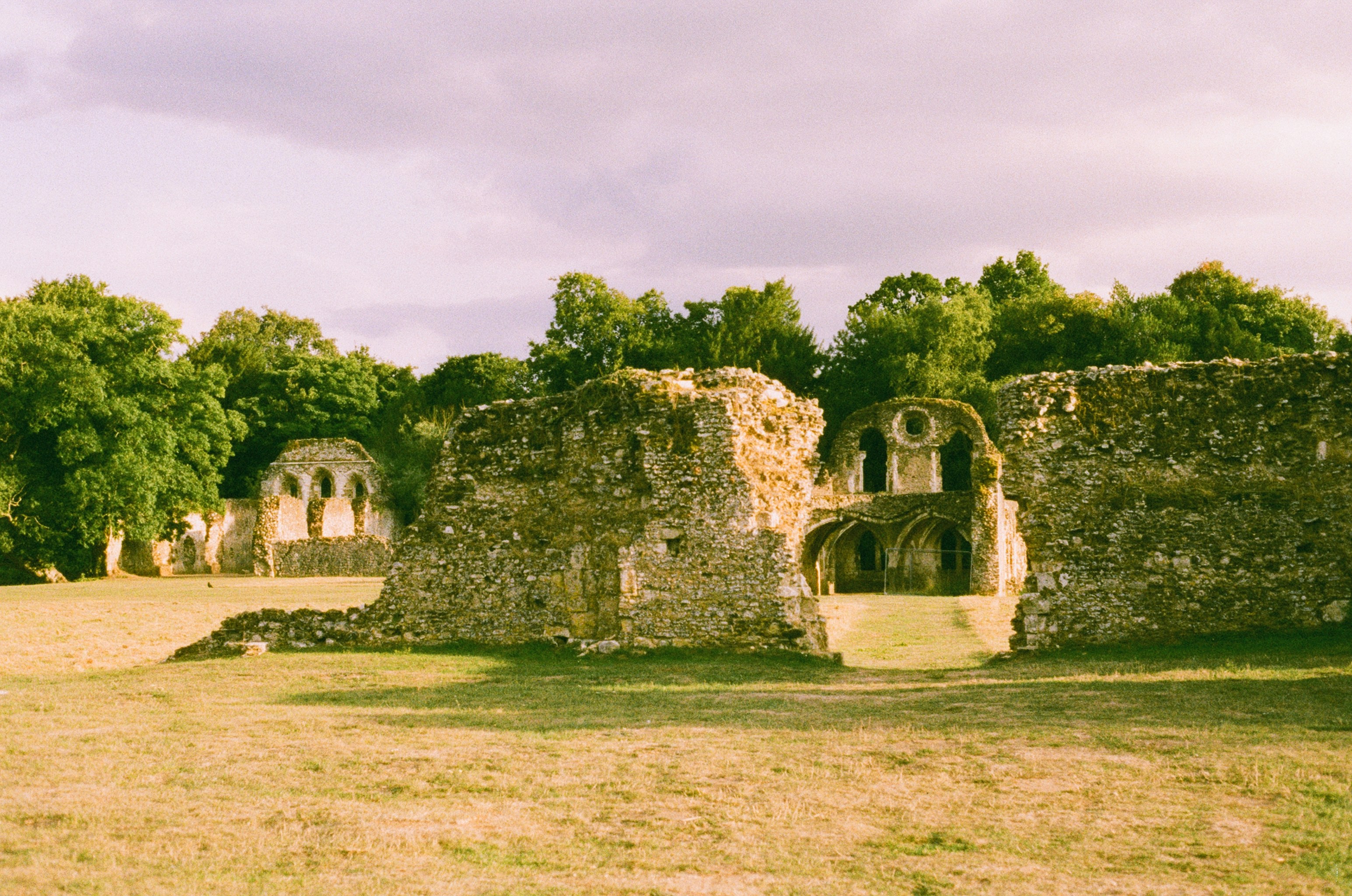 Photo by tanyabarrow