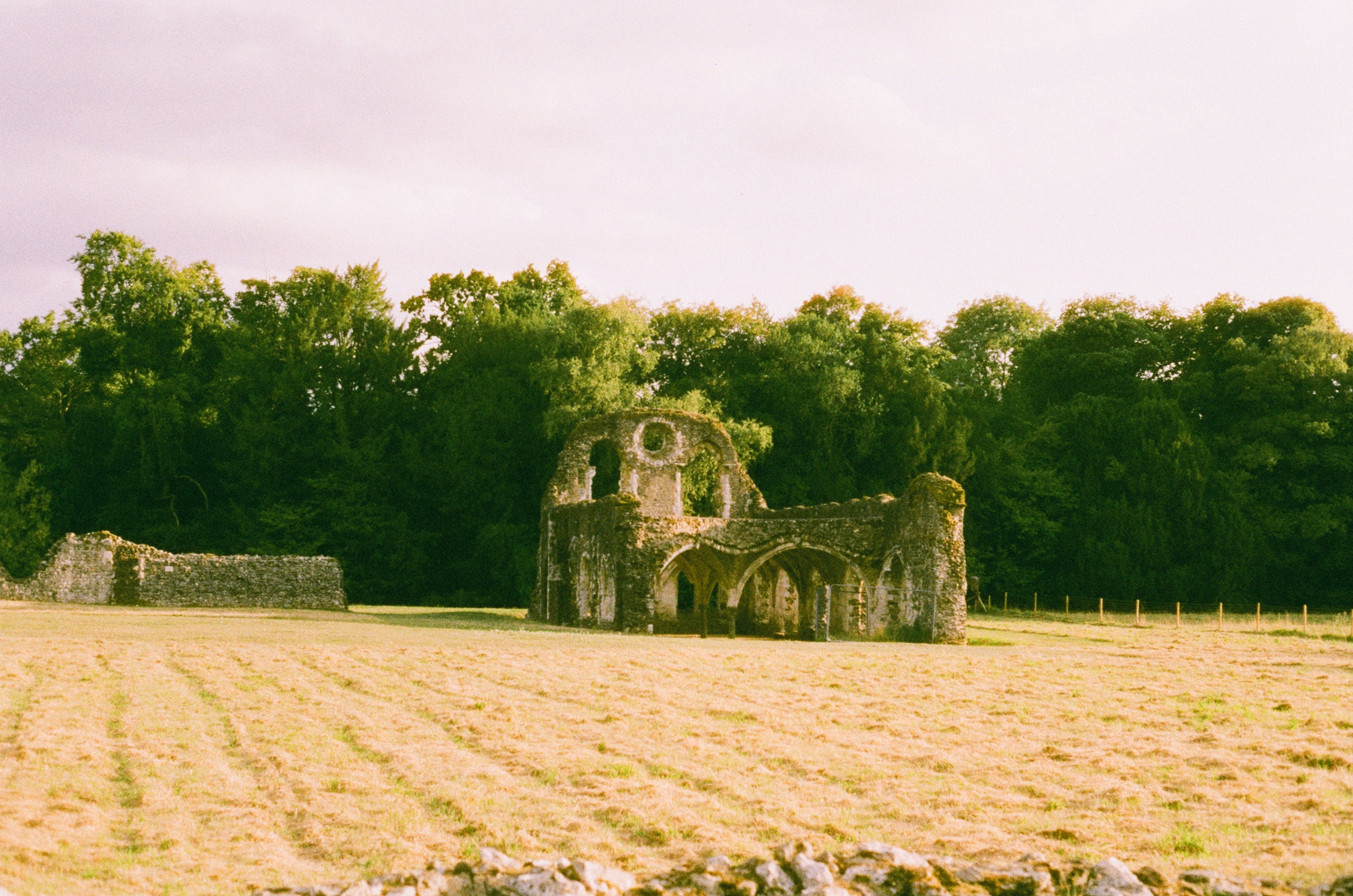 Photo by tanyabarrow