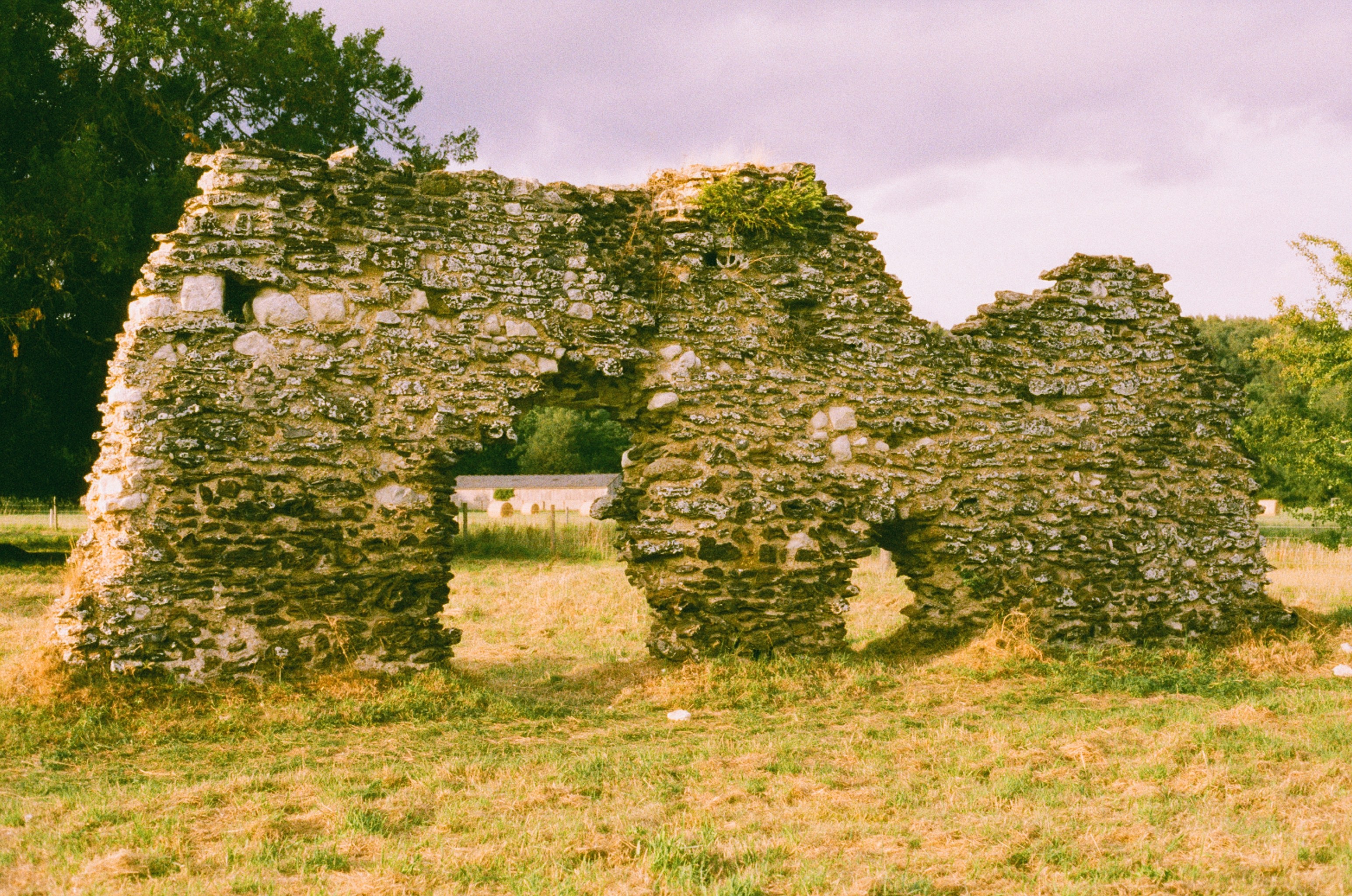 Photo by tanyabarrow