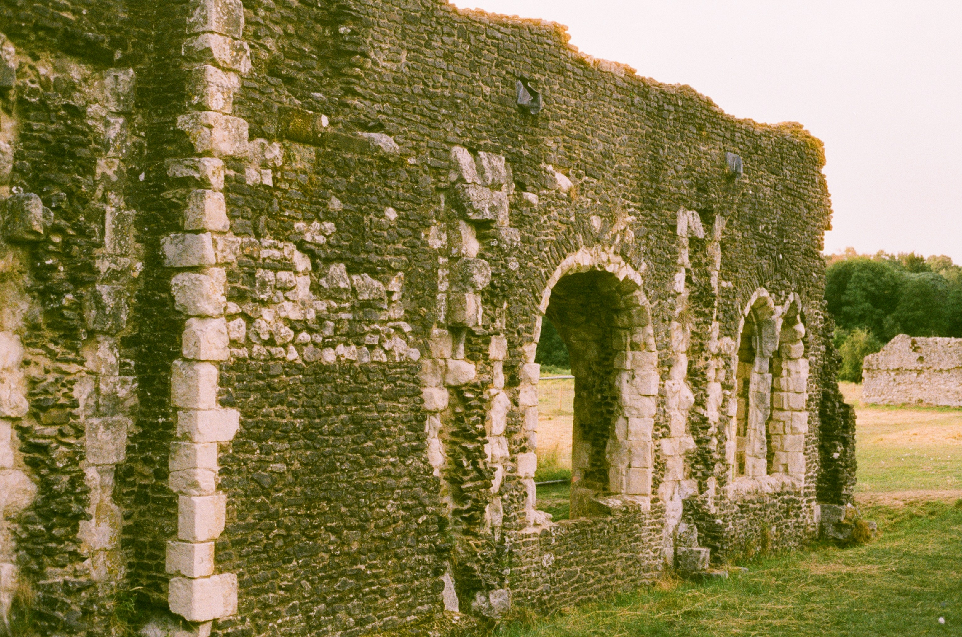 Photo by tanyabarrow