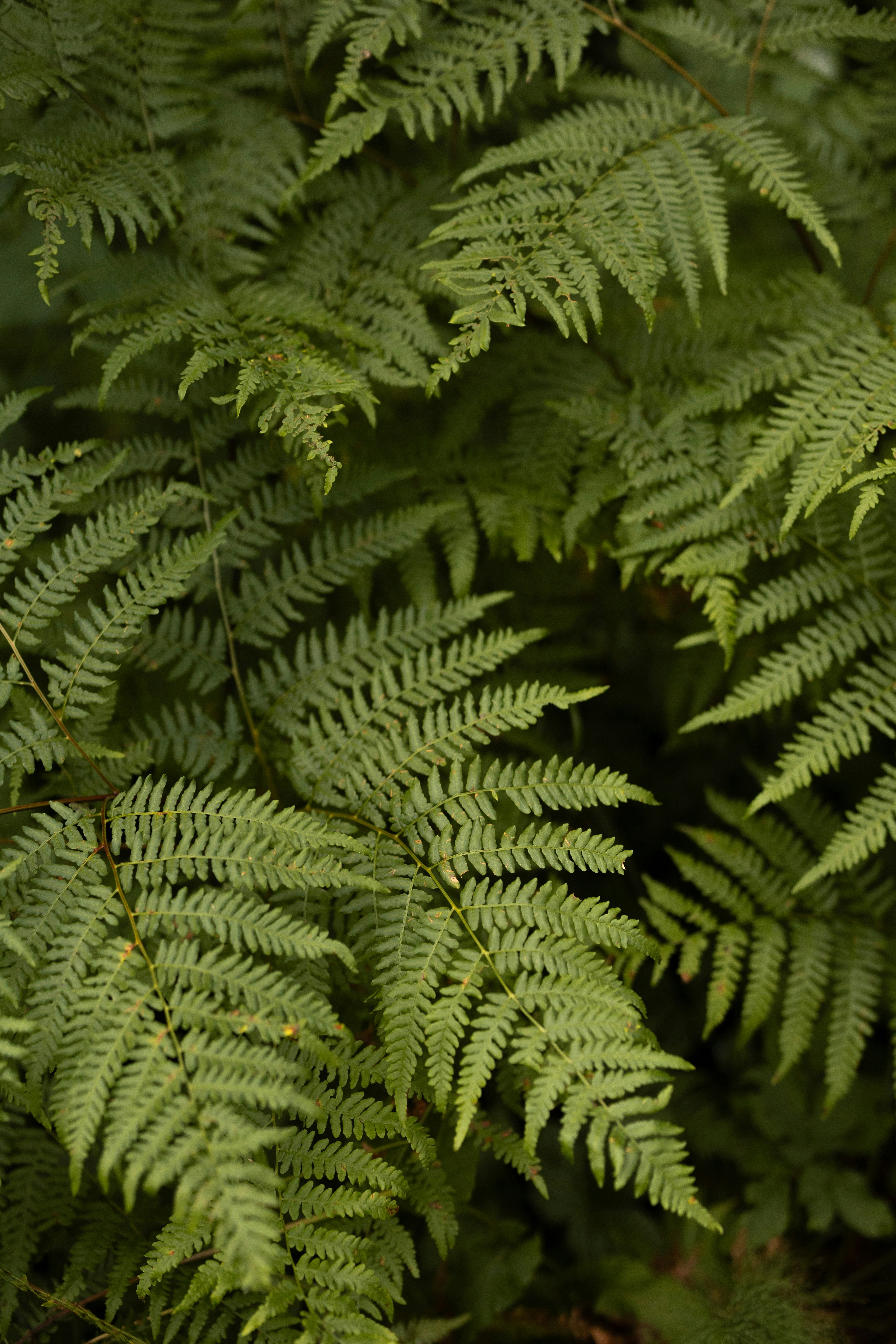 Photo by dariamemories