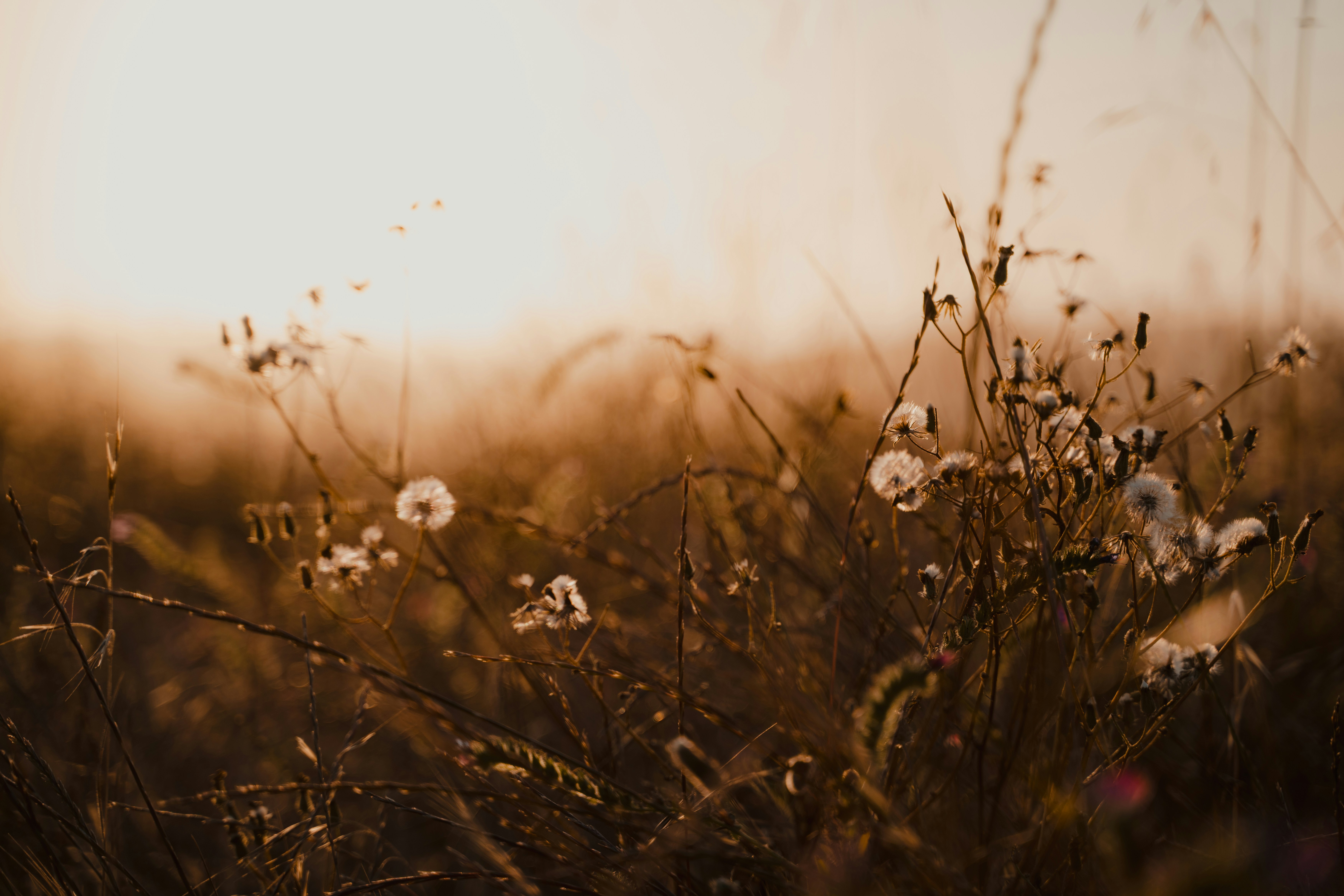 Photo by michielannaert