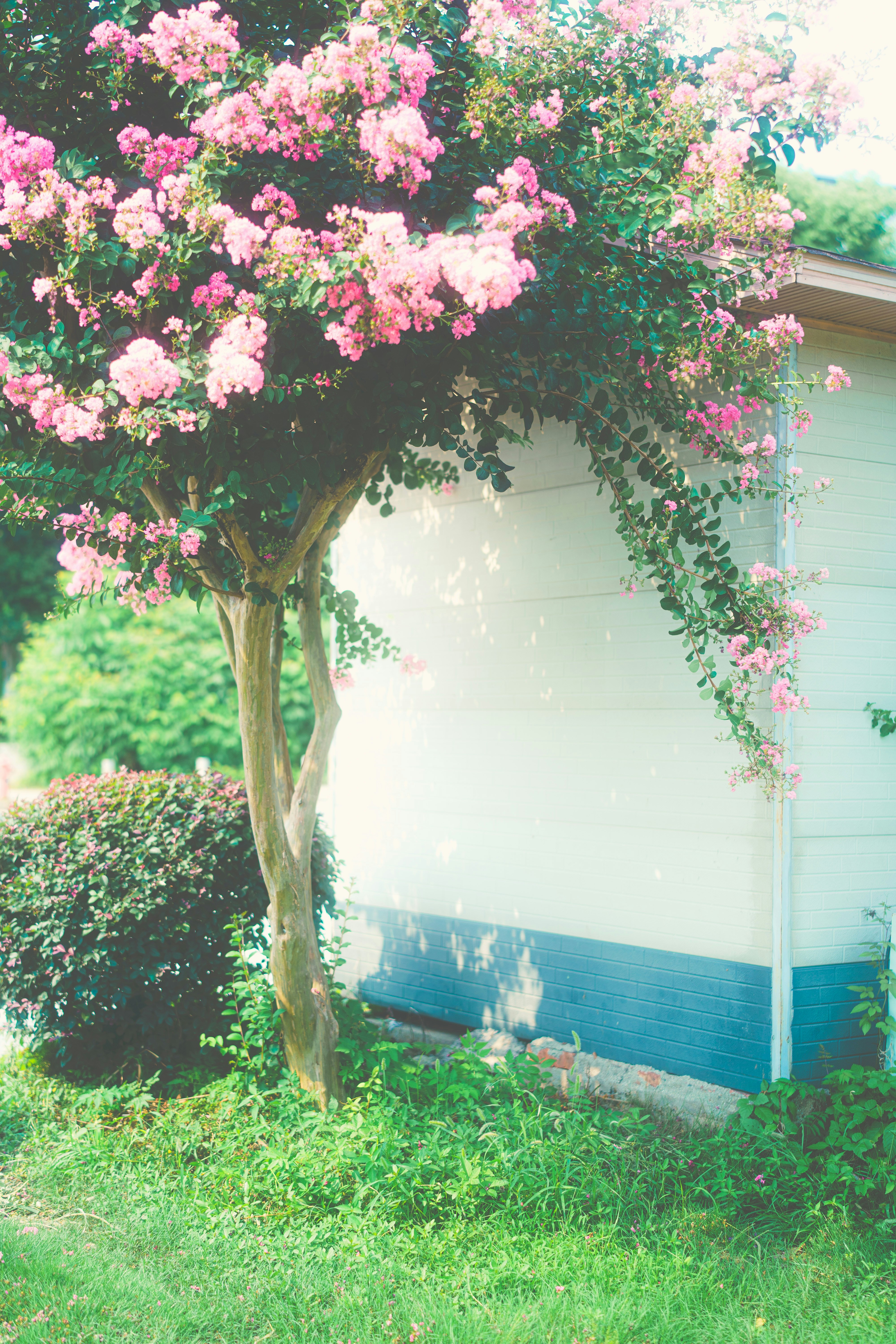 Photo by xiexianghua