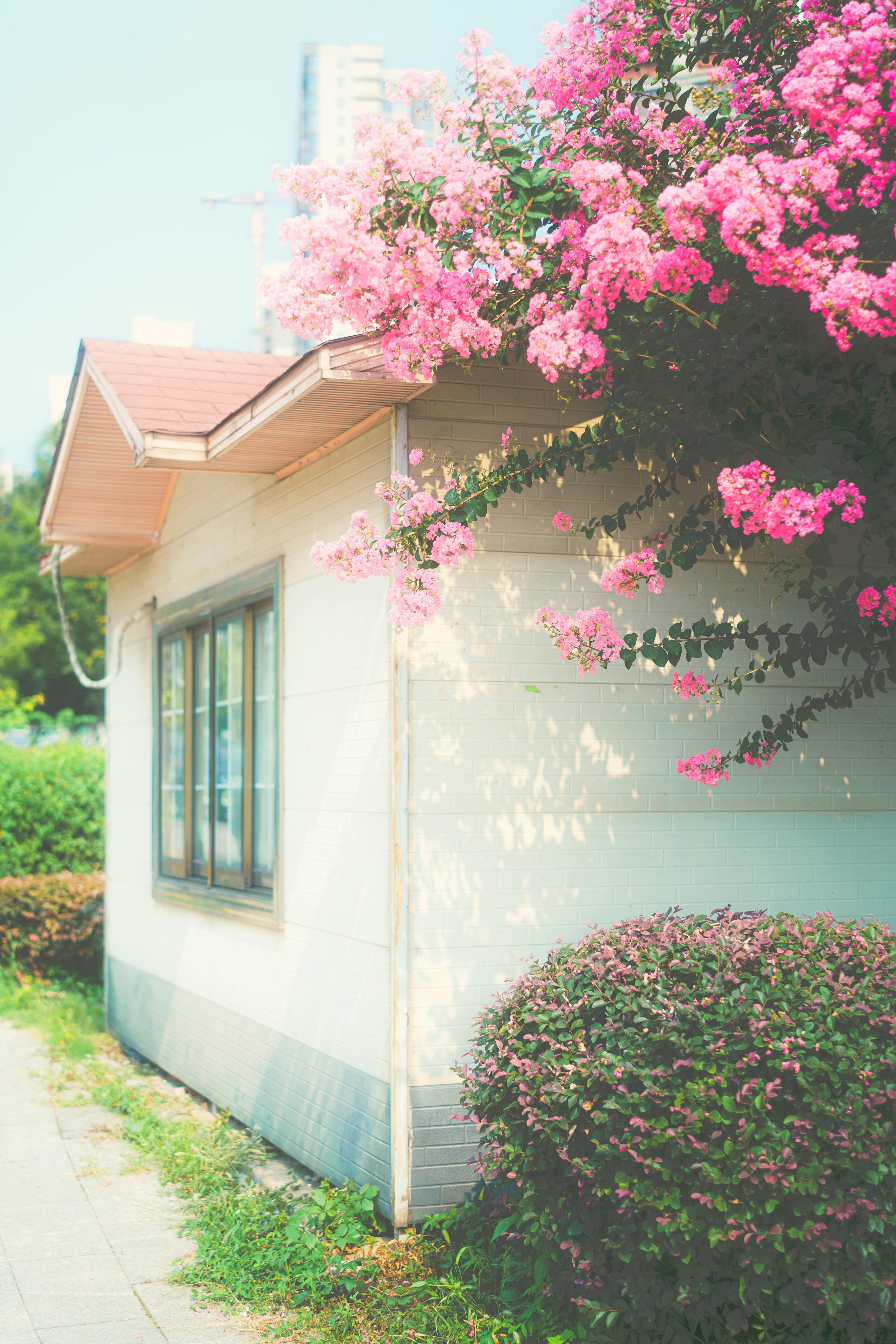 Photo by xiexianghua