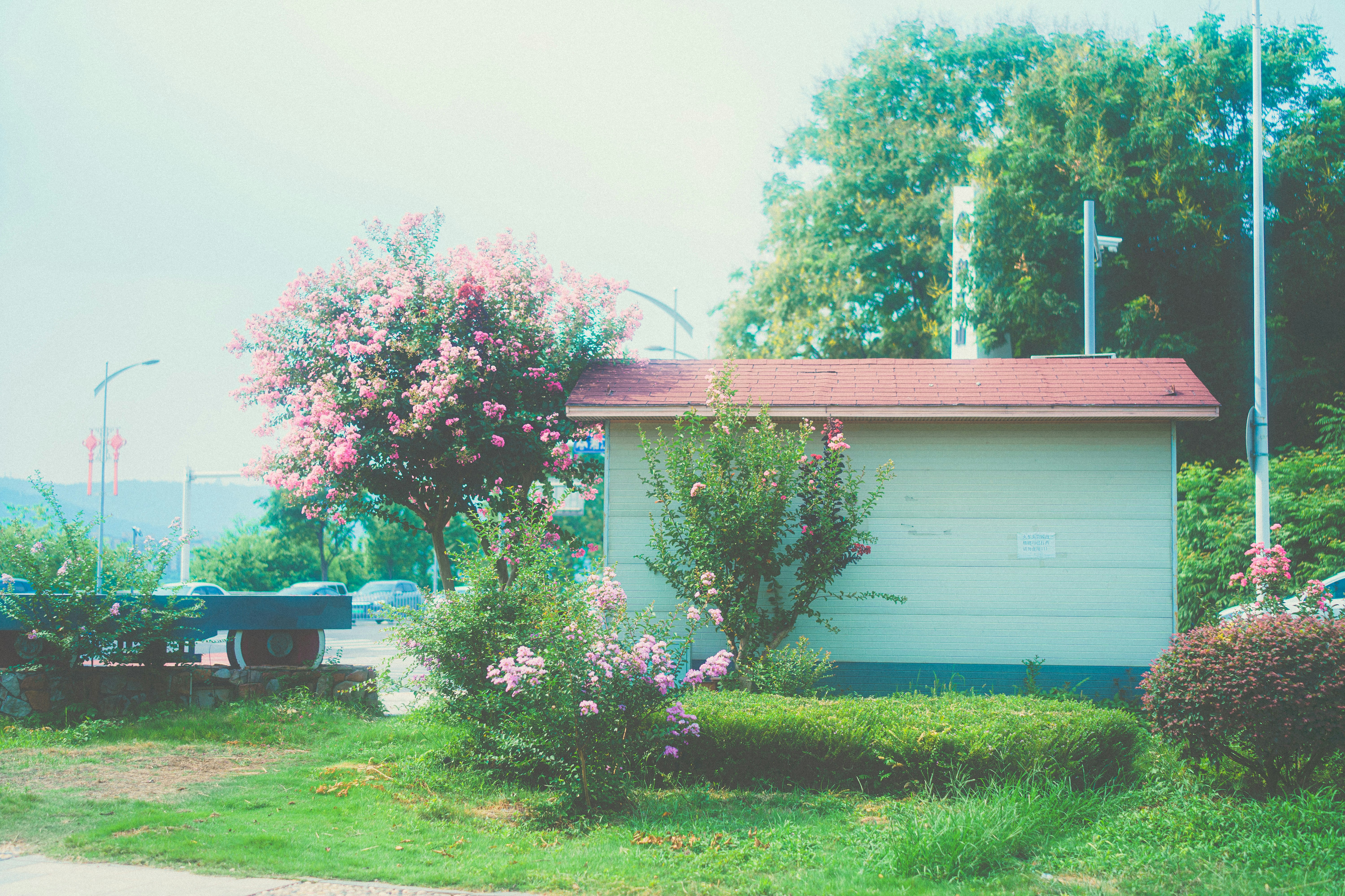 Photo by xiexianghua