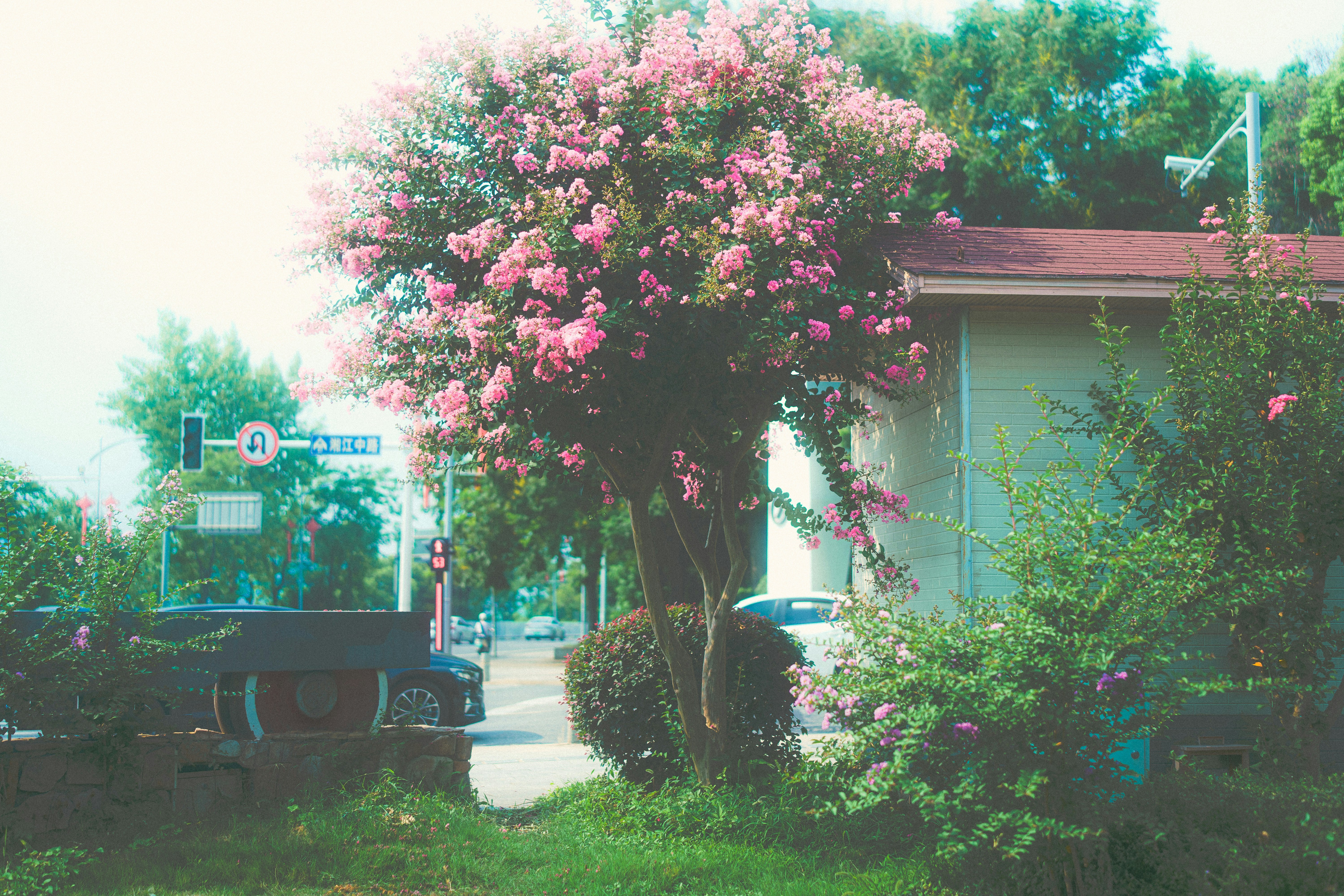 Photo by xiexianghua