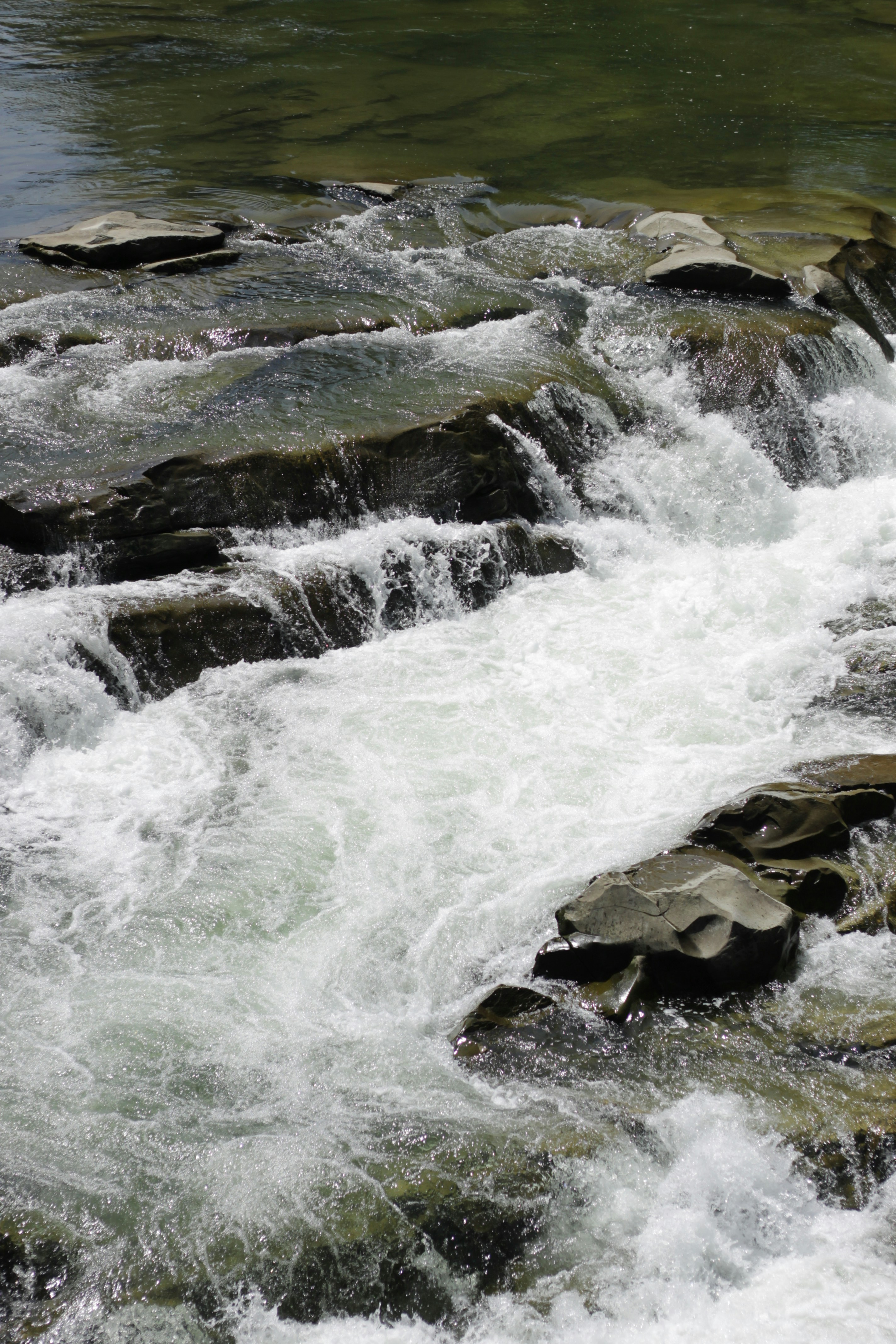 Photo by chris_miskevych