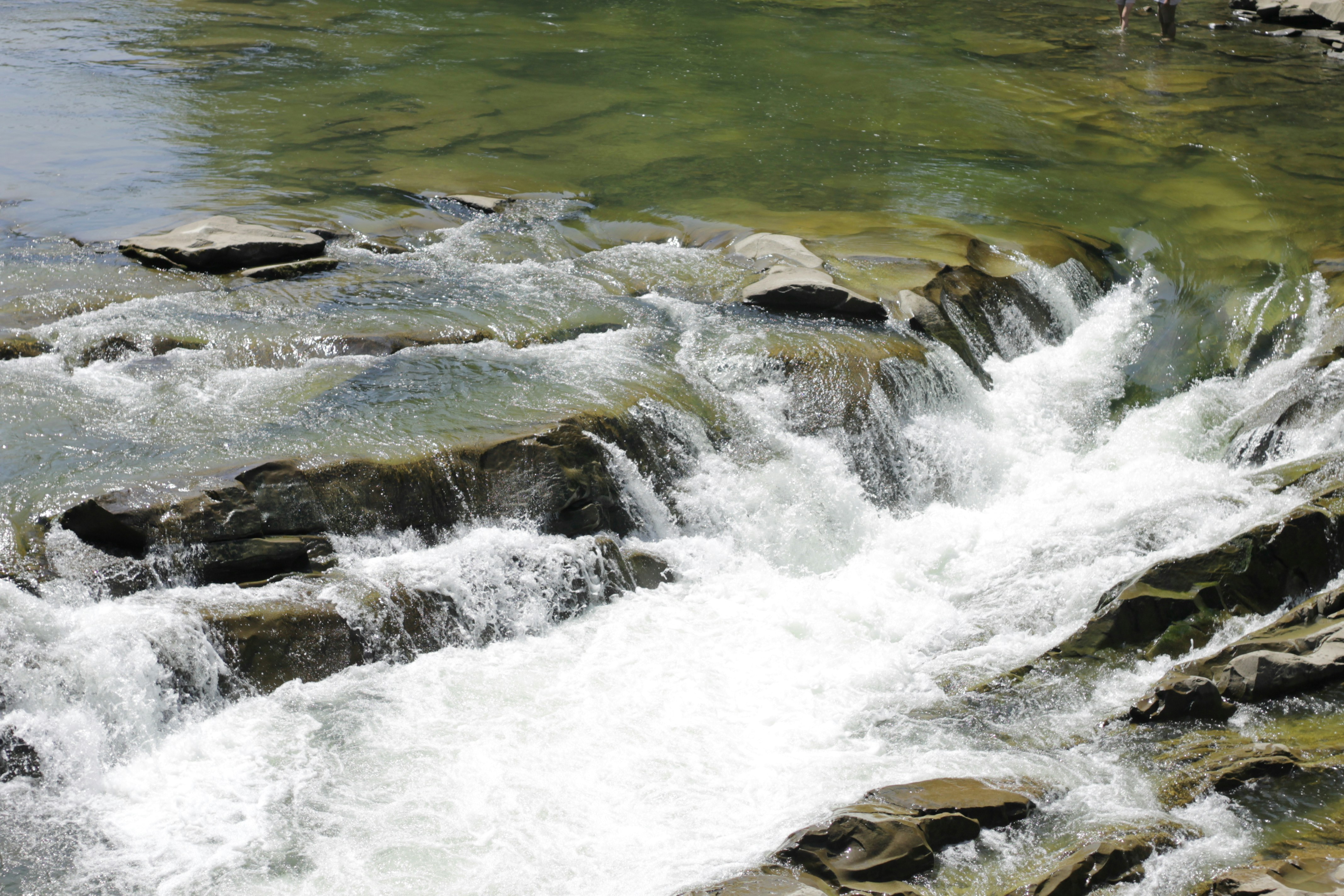 Photo by chris_miskevych