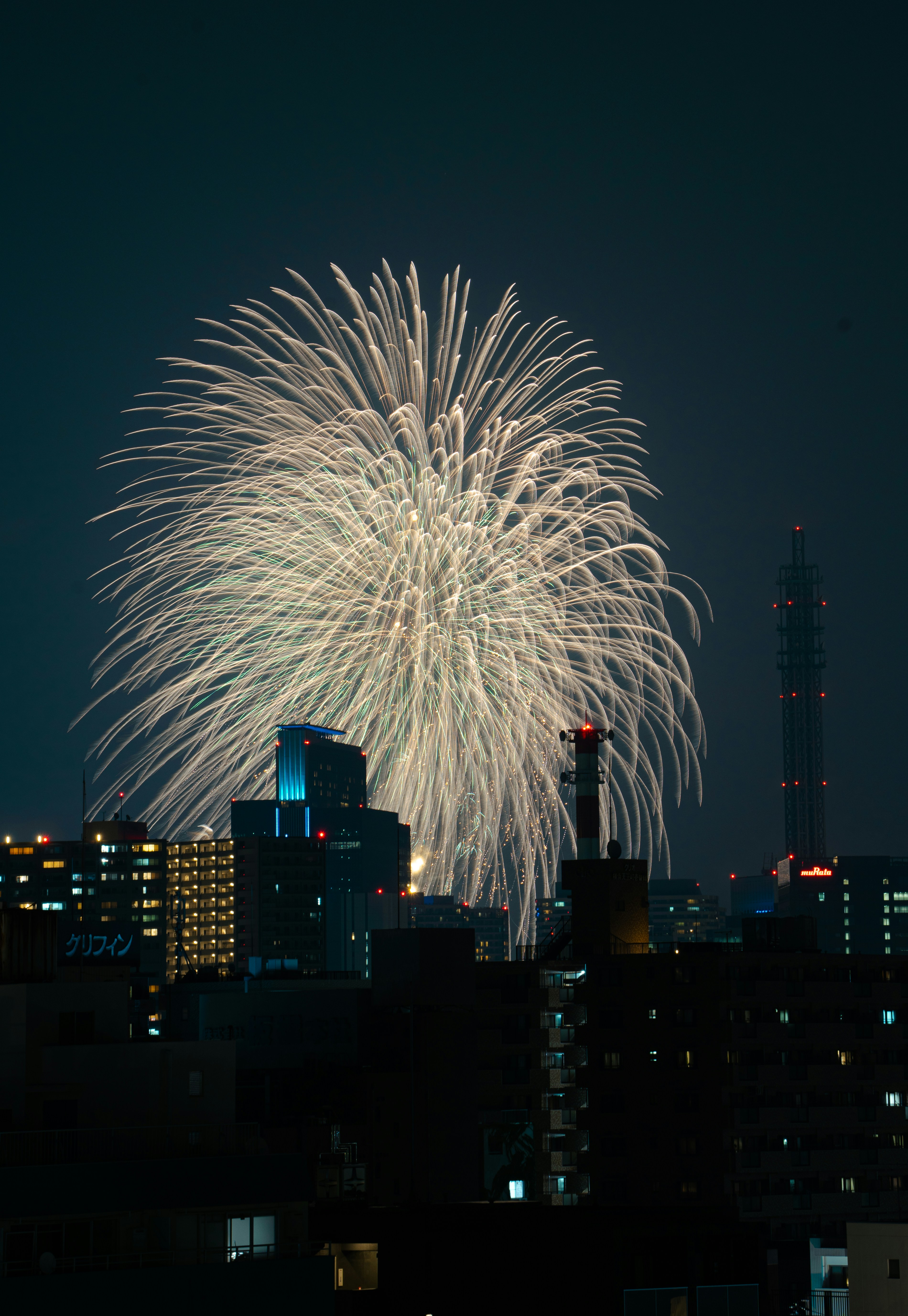 불꽃놀이가 도시의 밤하늘을 밝힙니다.