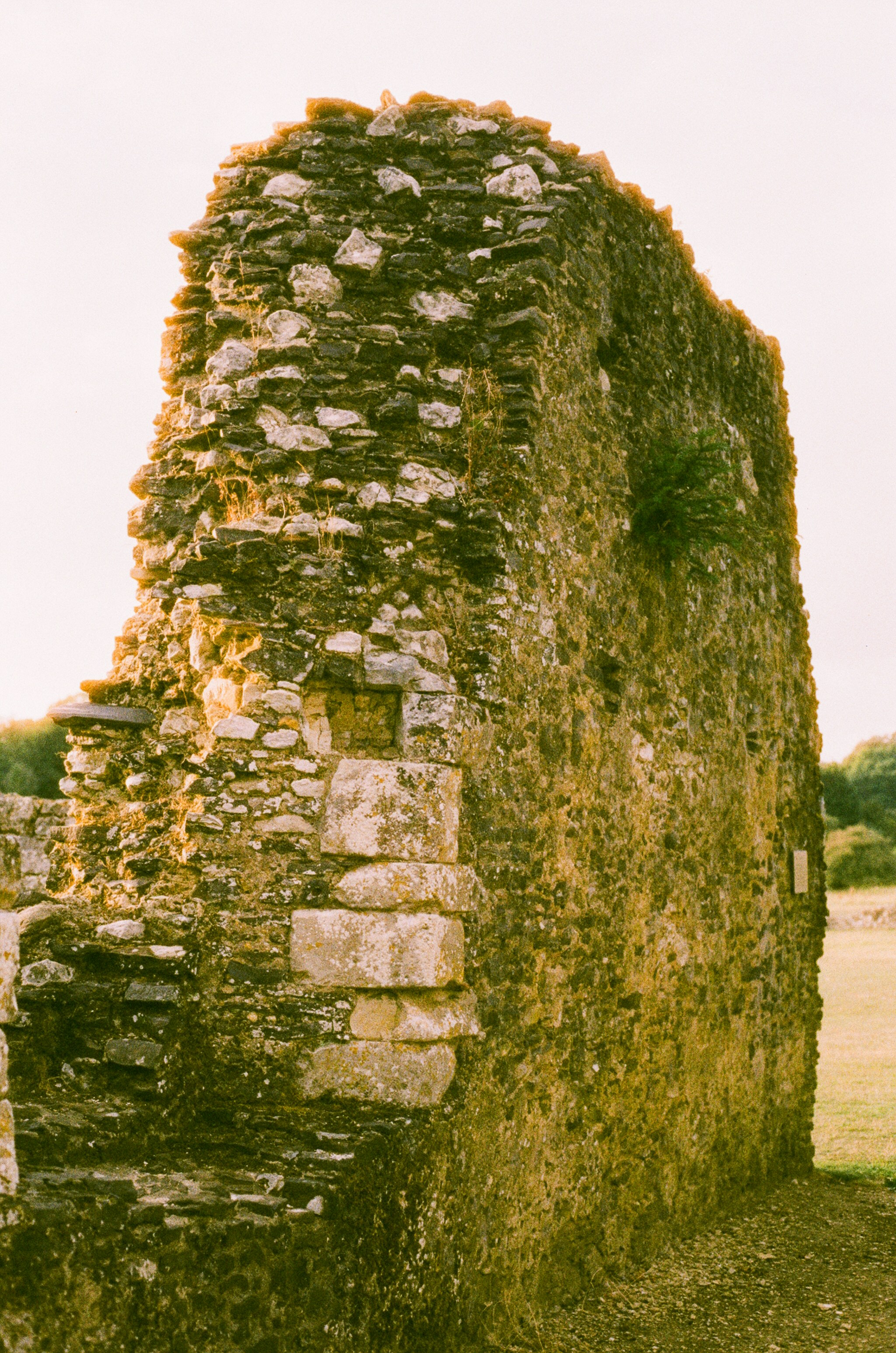 Photo by tanyabarrow