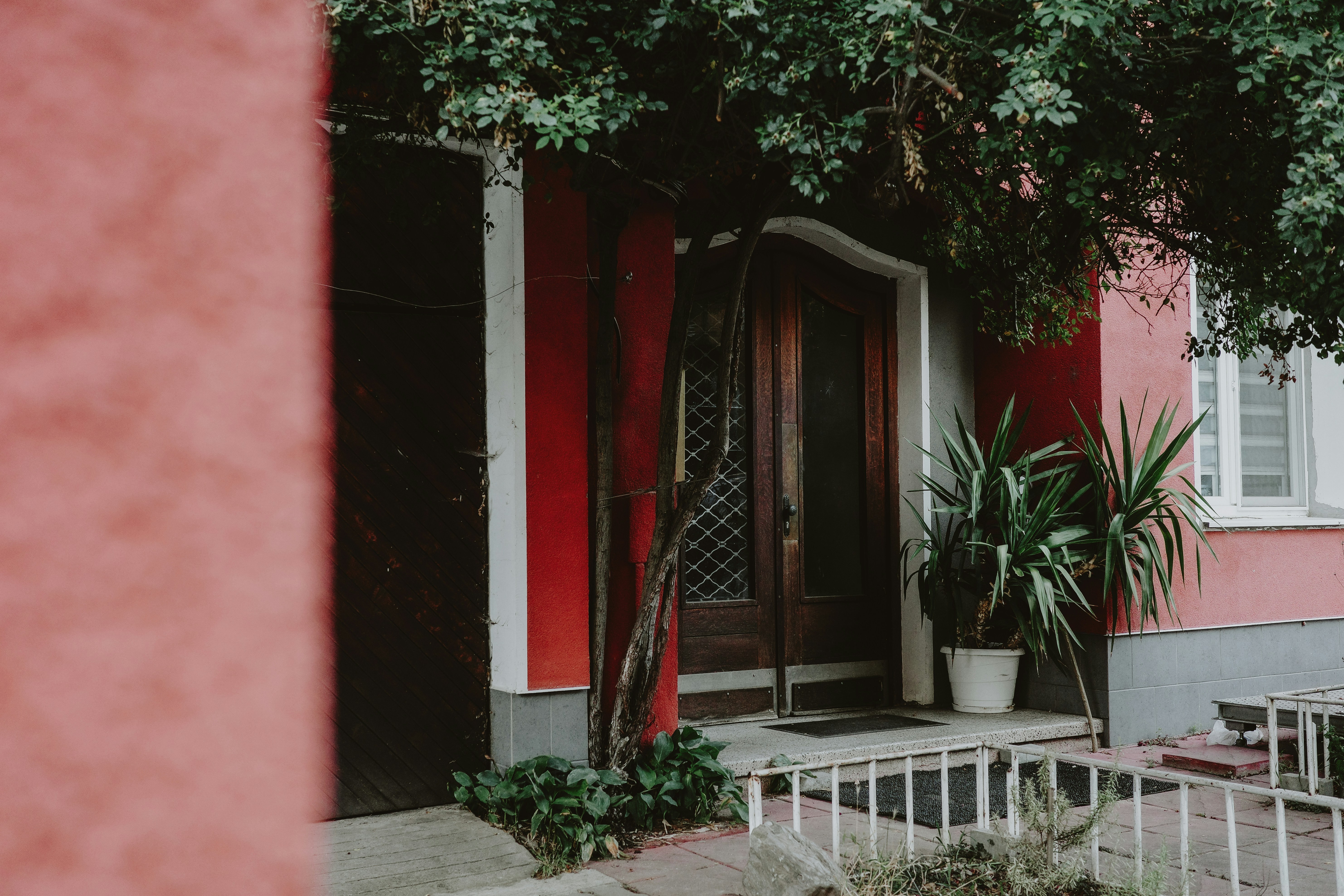 Photo by virginiaphotostories