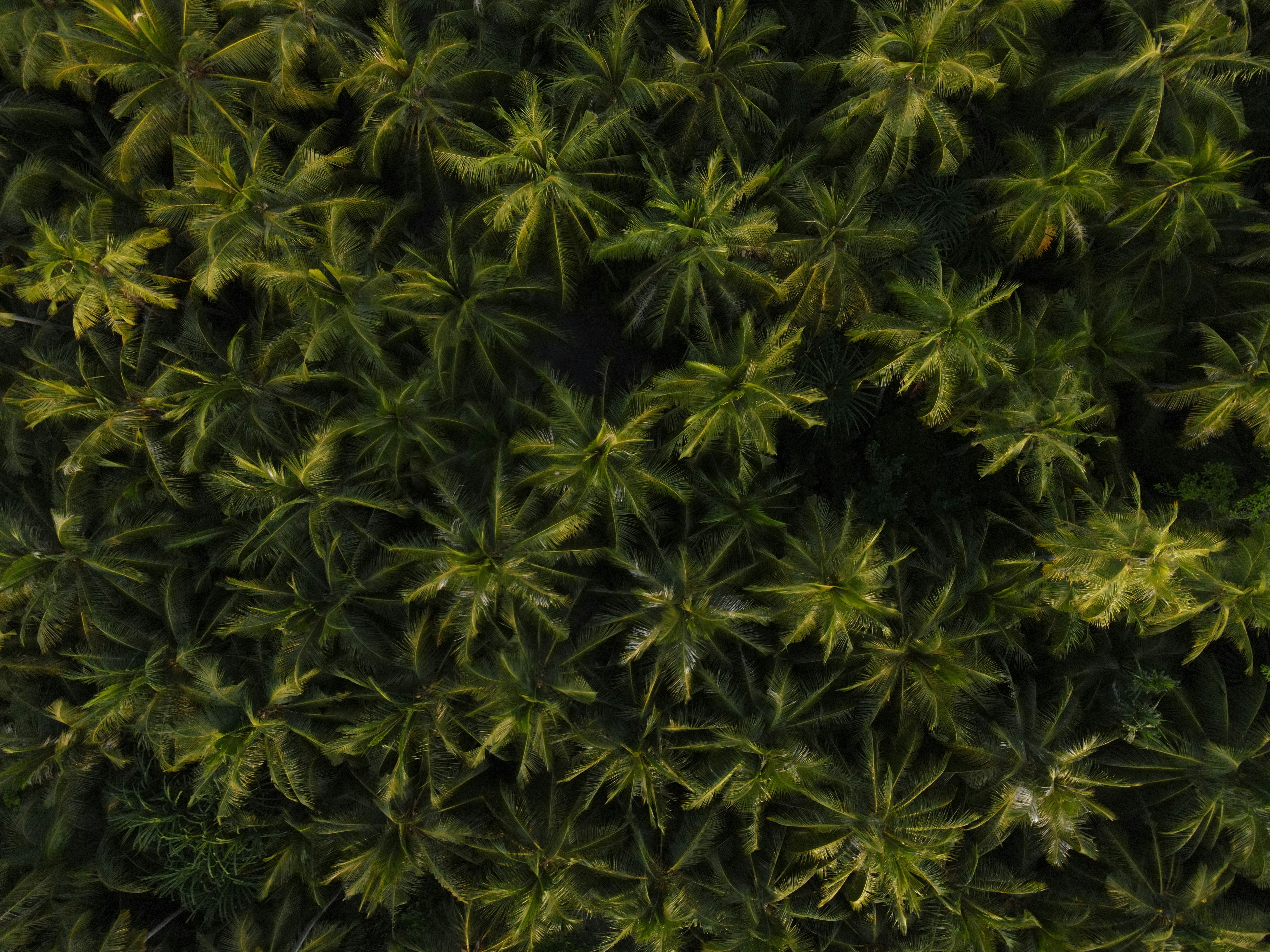 Emergency Situation Locksmith Professionals Near To Me: Exactly How To Select Carefully