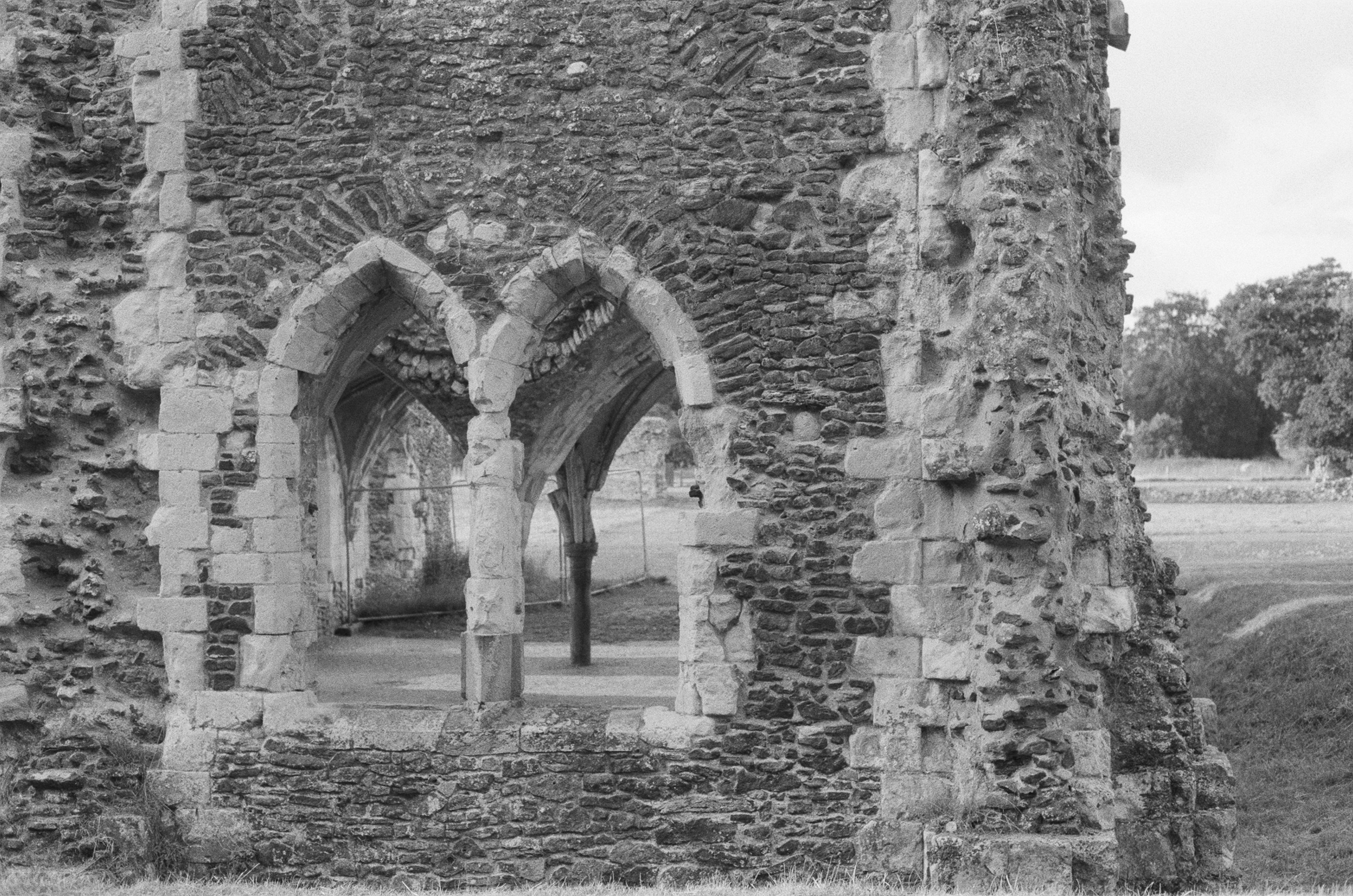 Photo by tanyabarrow