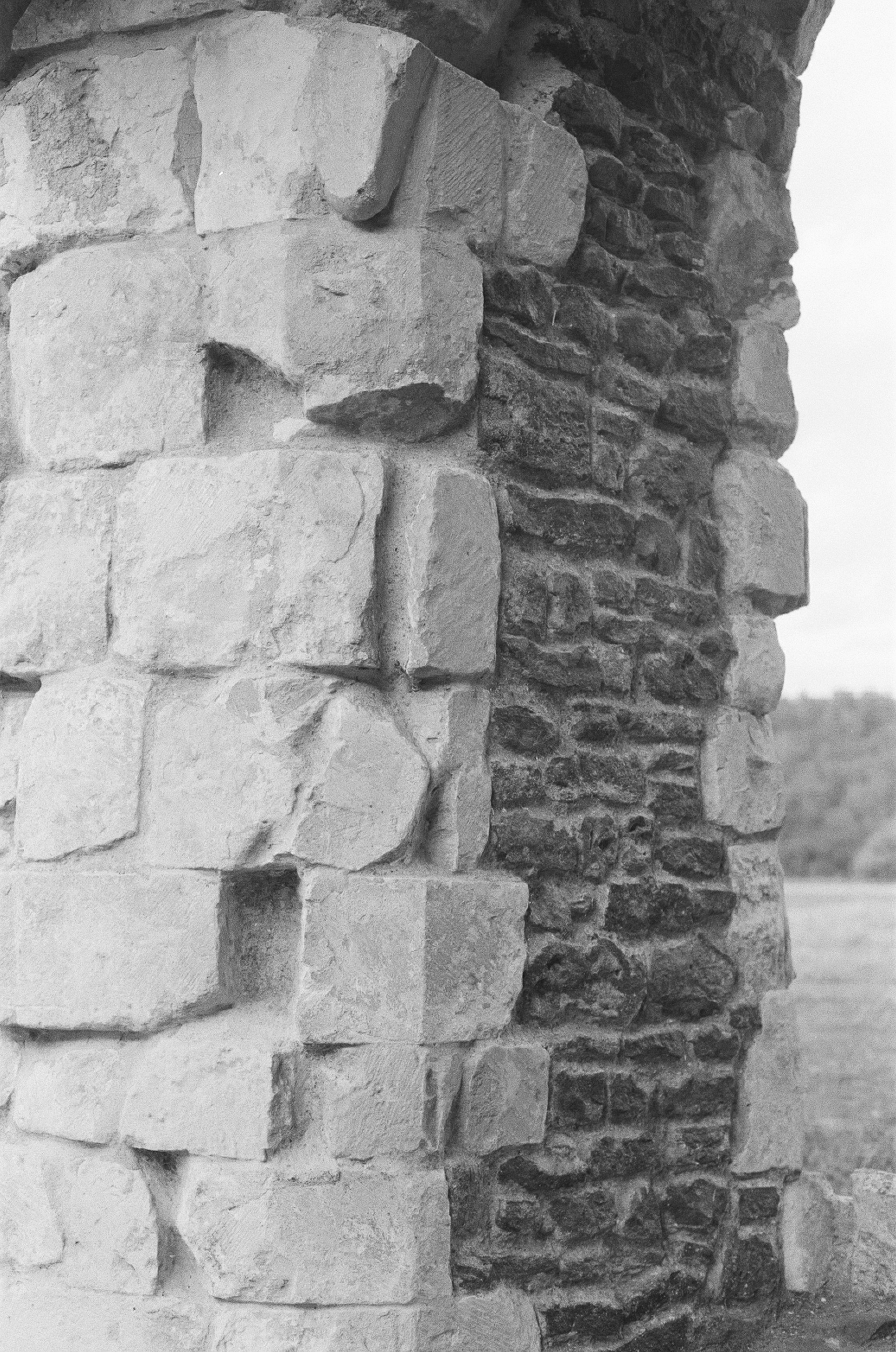 Photo by tanyabarrow